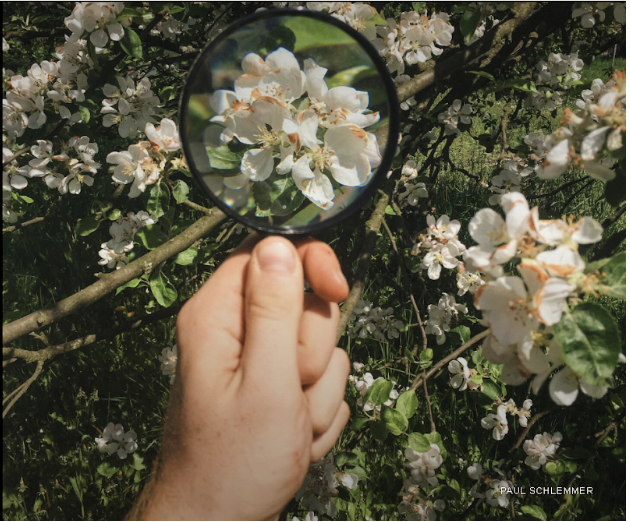 Curiosity Expands the "Now": Here's How To Train Yours