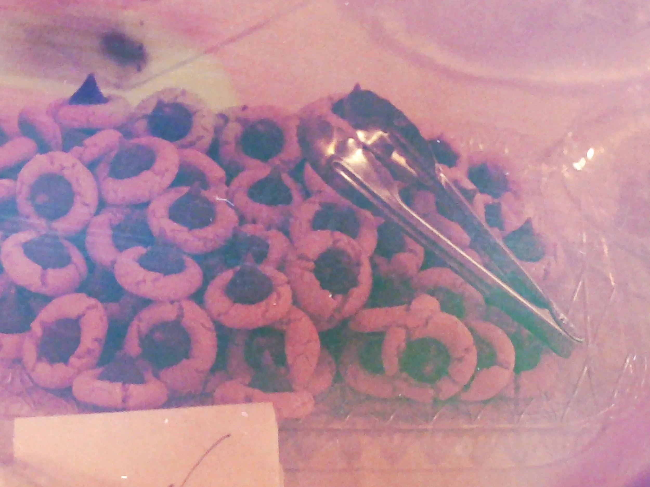 A pile of Keebler Elf cookies with a small black insect on top, next to two large metallic needles.