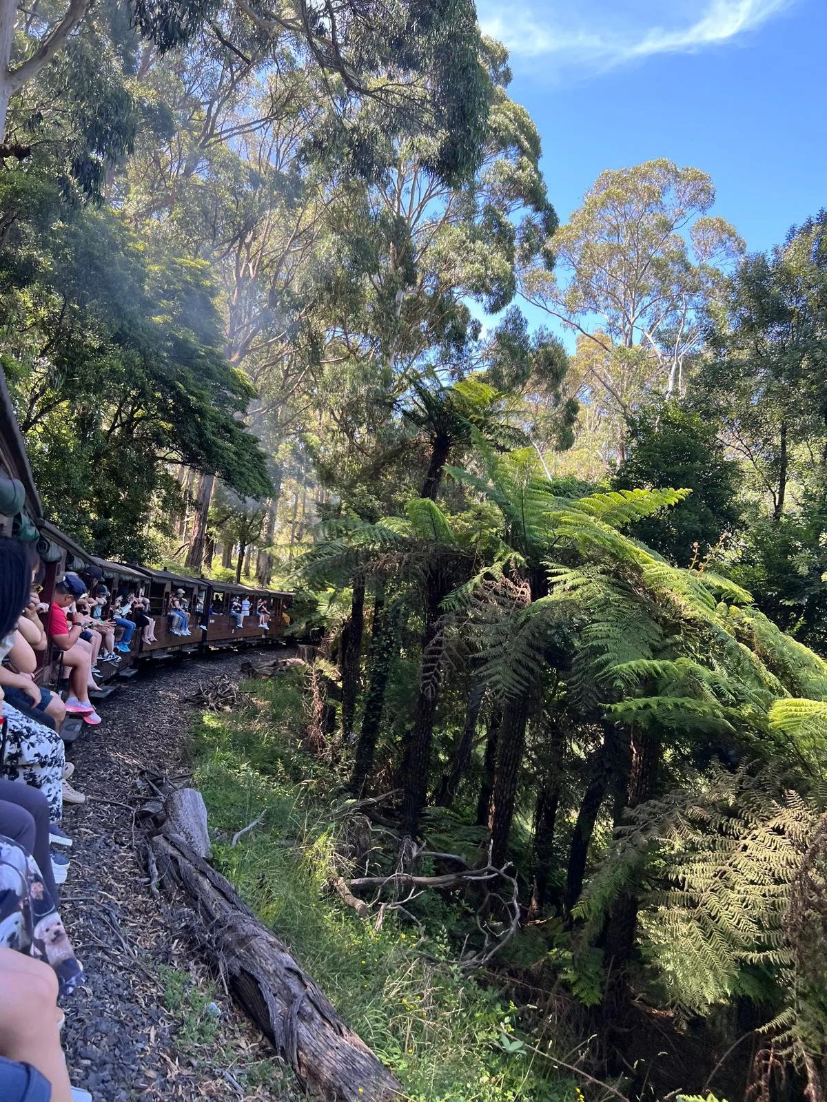 The Puffing Billy Railway - Melbourne, passengers can hang their legs out of the carriage and see the fauna up close
