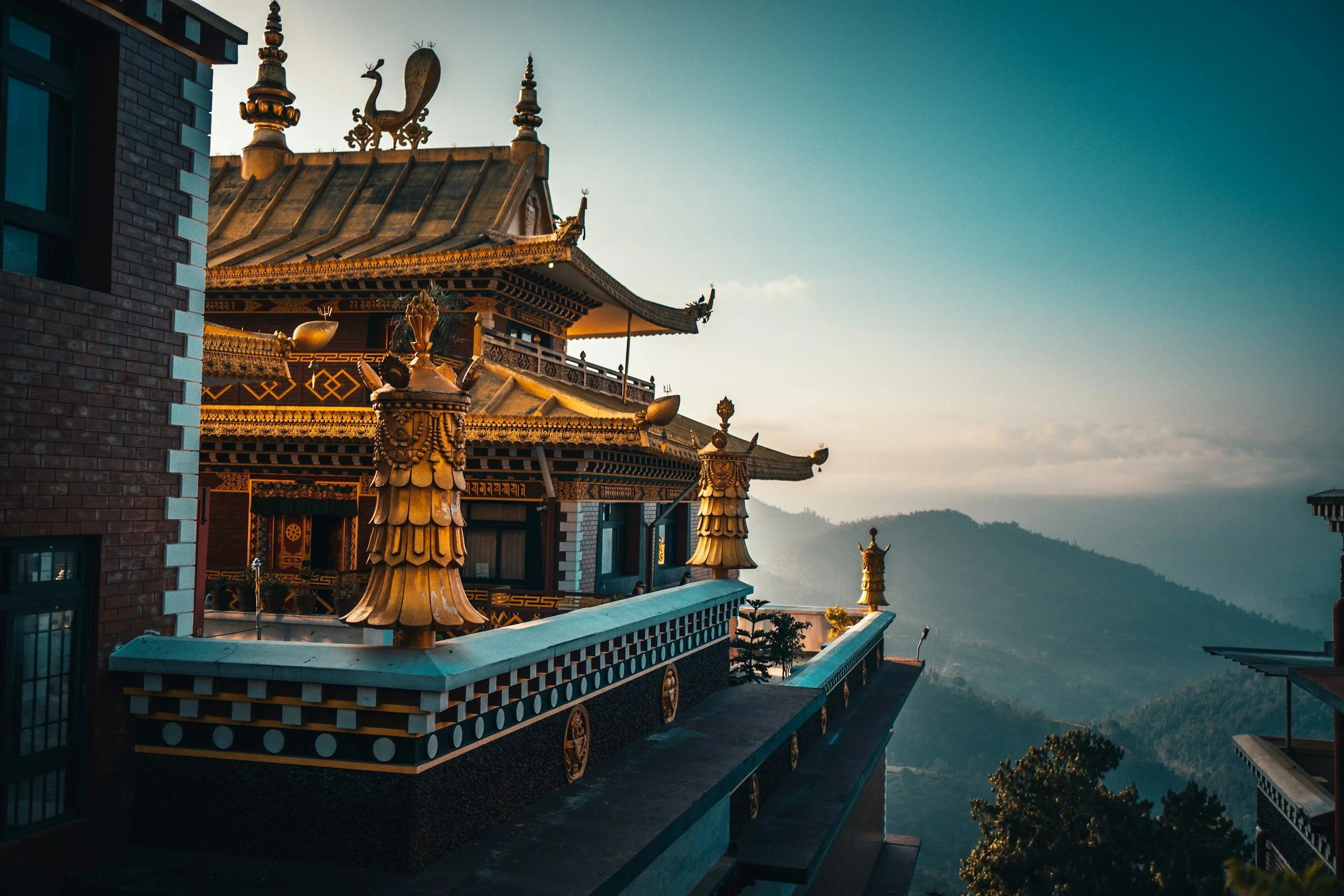 unsplash-image-JqT2Wp5S0Dk.jpg