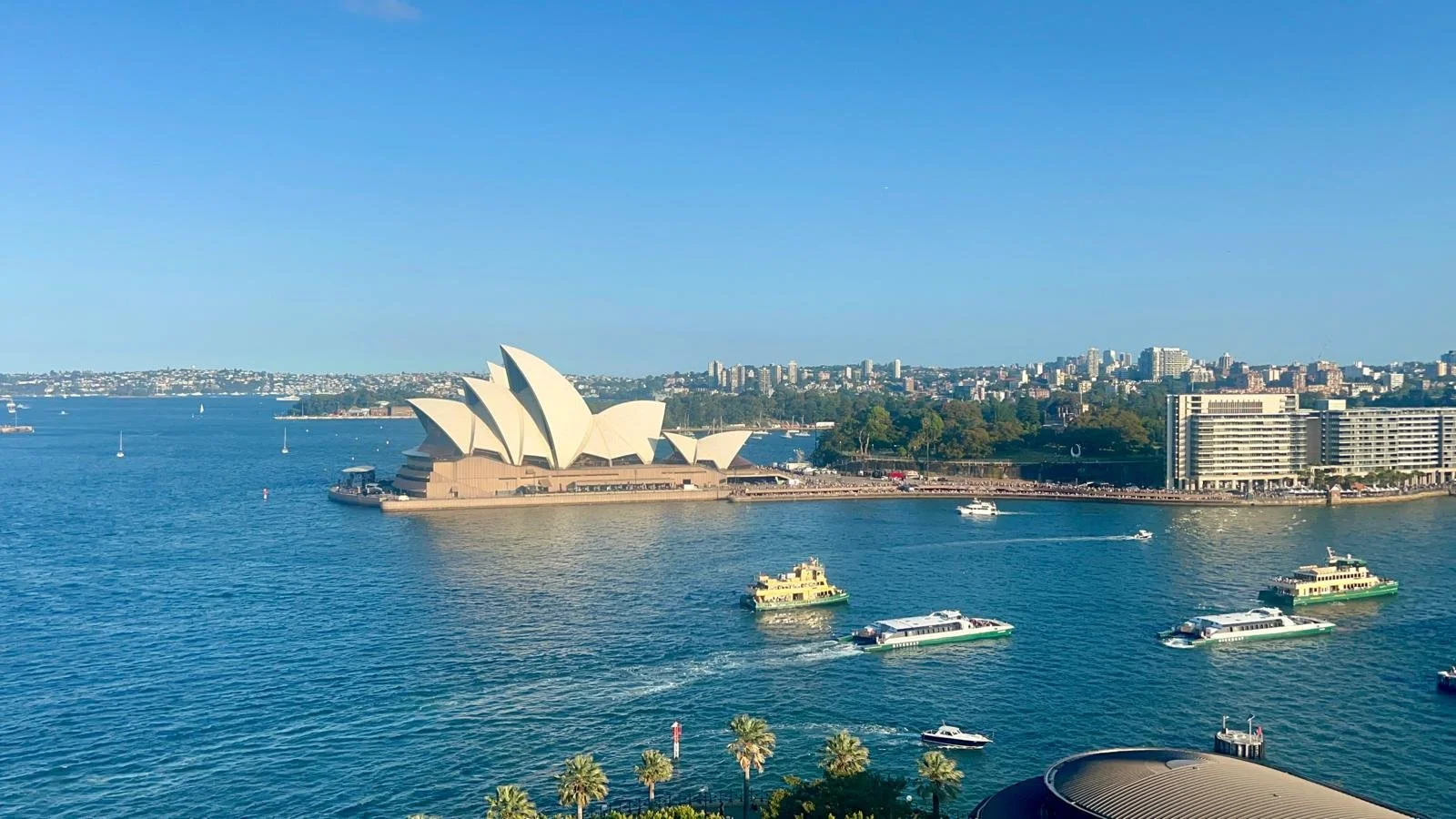 Sydney opera house during the day, view from the harbour bridge.