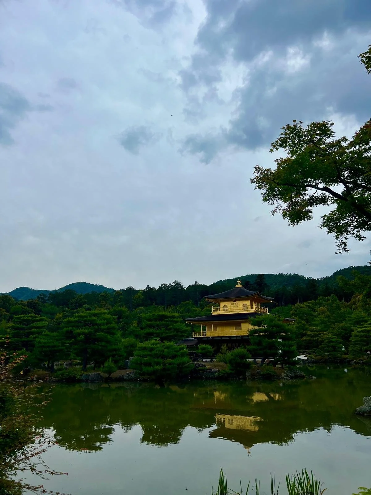 The Golden Palace, Kinkaku-Ji, Osaka, water reflection, forest
