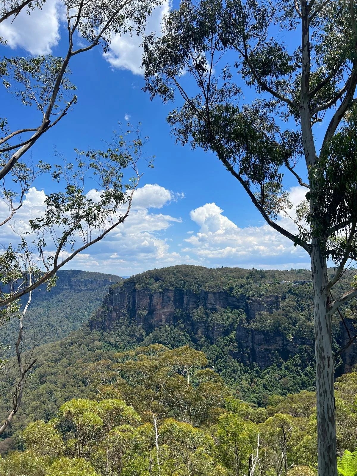 The Greater Blue Mountains Area of New South Wales