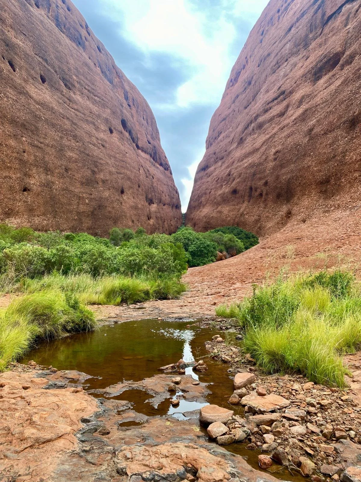 Kuniya Pit valley walk - Uluru Northern Territory, view of valley, water and trees