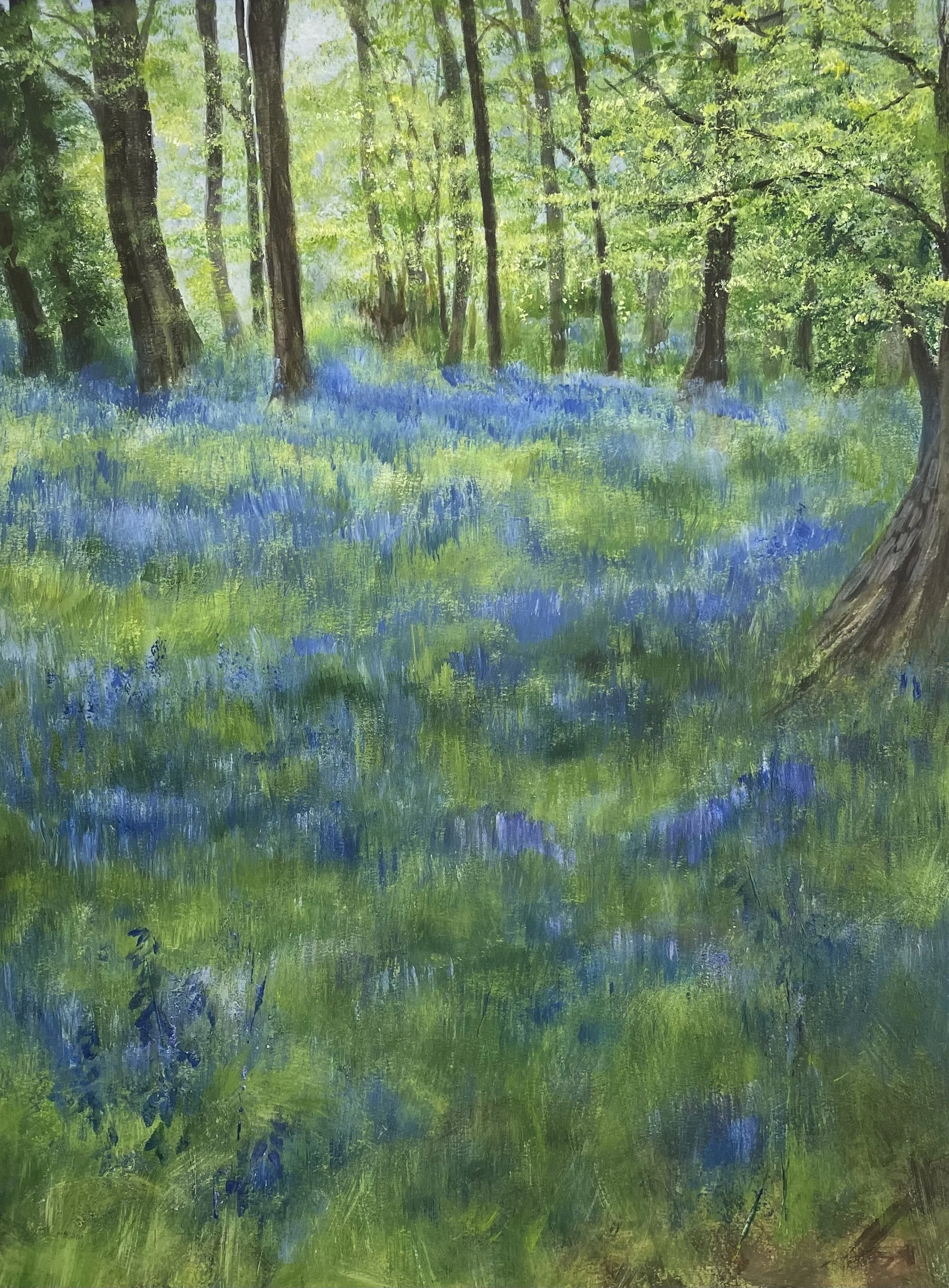 Nettlebed Bluebells.jpeg