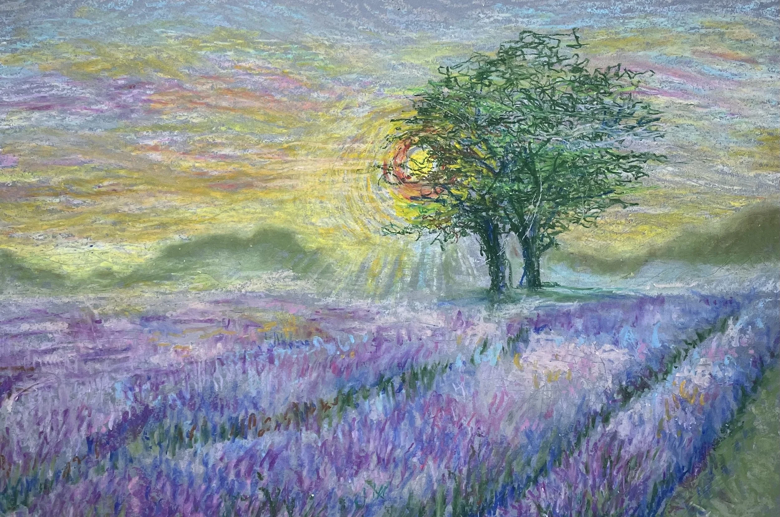 Lavender Fields 2.jpeg