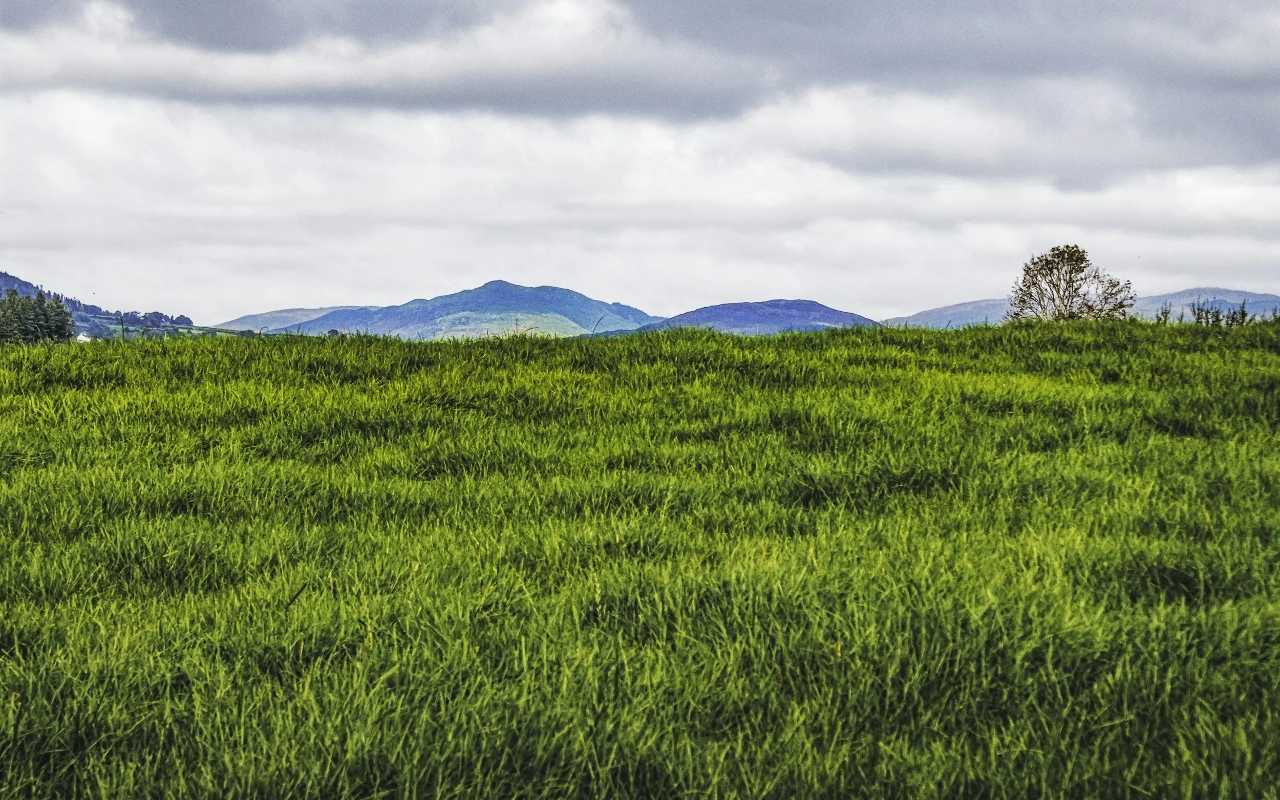 Wide view of a lush green field with mountains in the background under a cloudy sky.