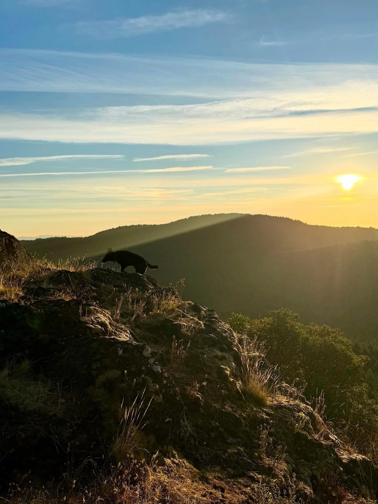 Local finds, clear mind. Since moving to Vancouver Island, I&rsquo;ve been making a point to explore the spots that make this place feel like home. Some of the best local finds so far? 
Hitting the trails at Mount Work, Lone Tree, and Jocelyn Hill. I