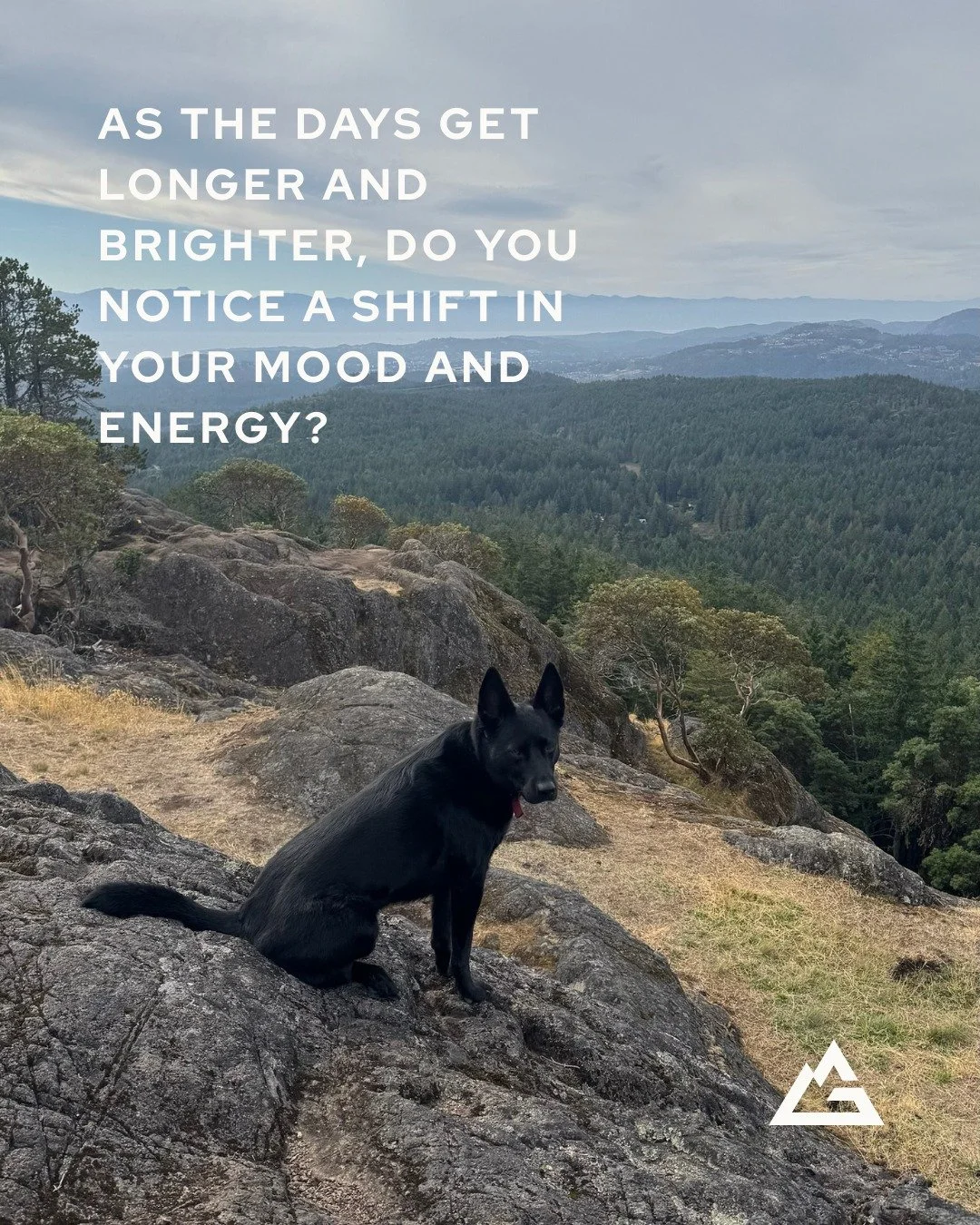 As the days get longer and brighter, a lot of people notice their mood and energy shifting too.

Sometimes that feels good. Sometimes it brings things to the surface that were easier to ignore over the winter.

Transitions can stir things up. That&rs