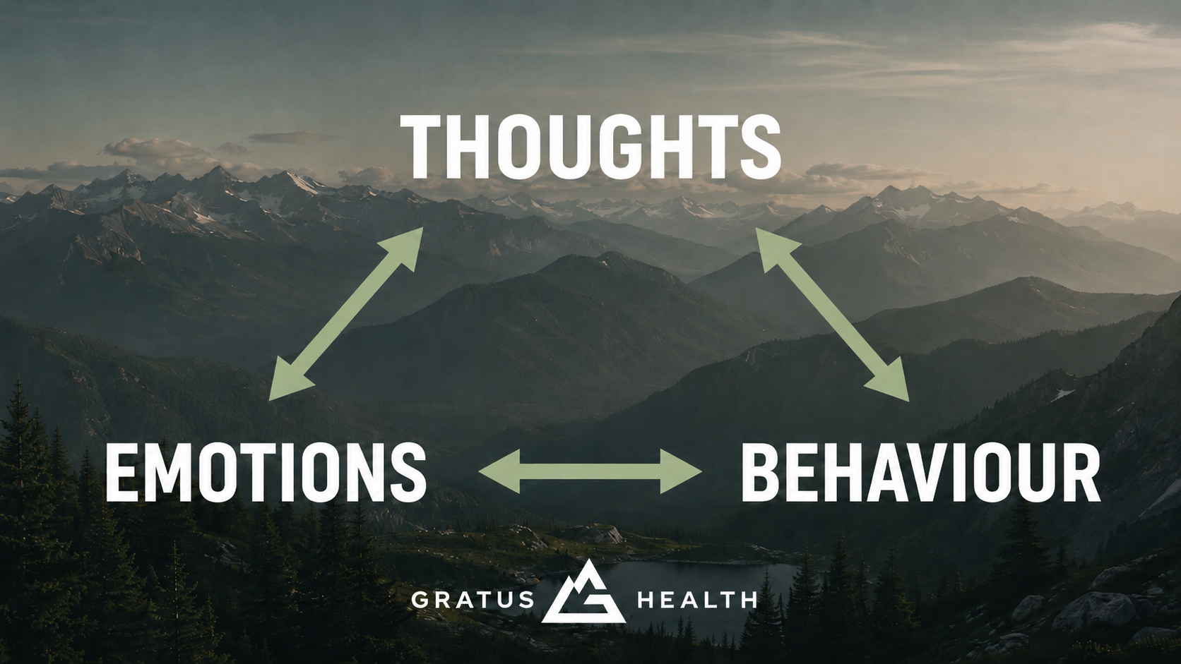 Cognitive Triangle