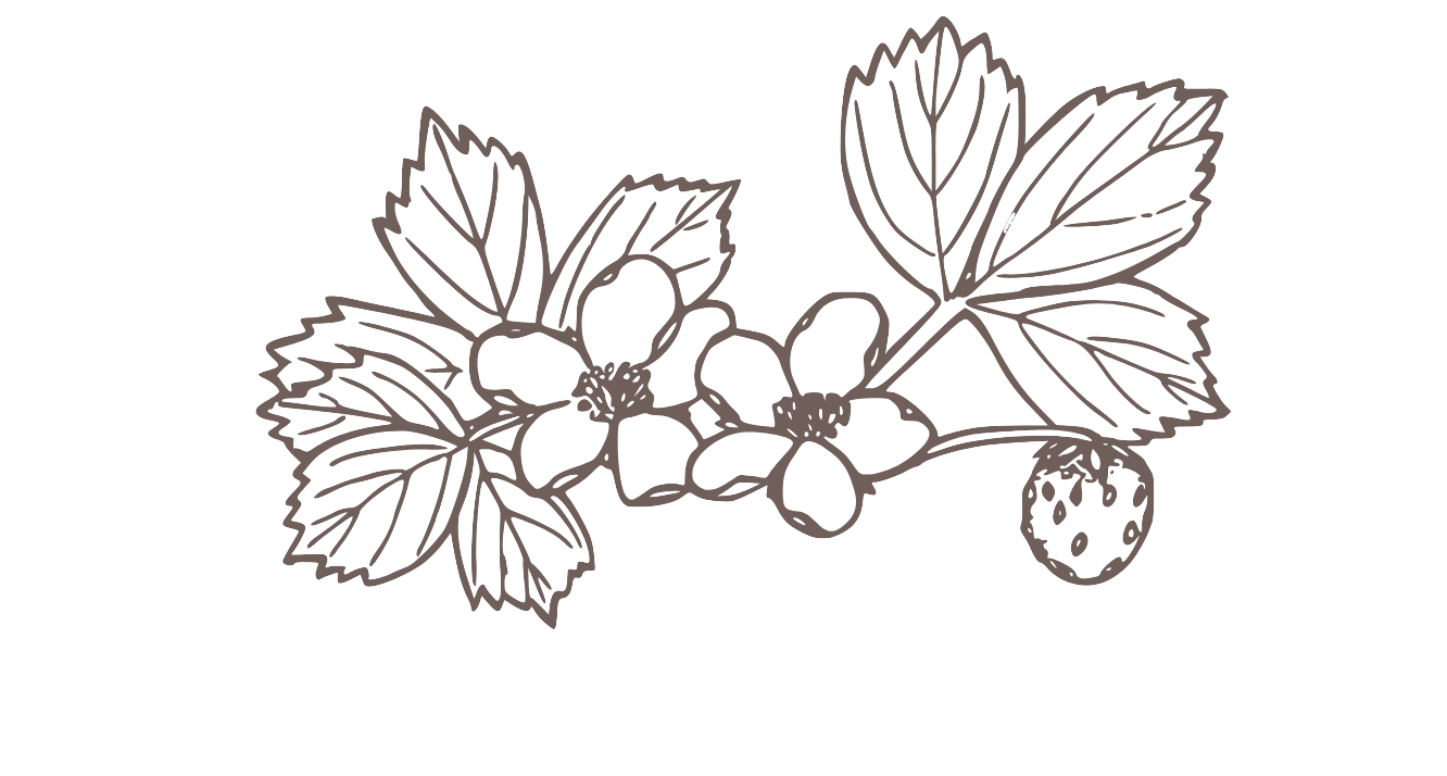 Line drawing of a blackberry plant with leaves and three blackberries, one of which is a strawberry.