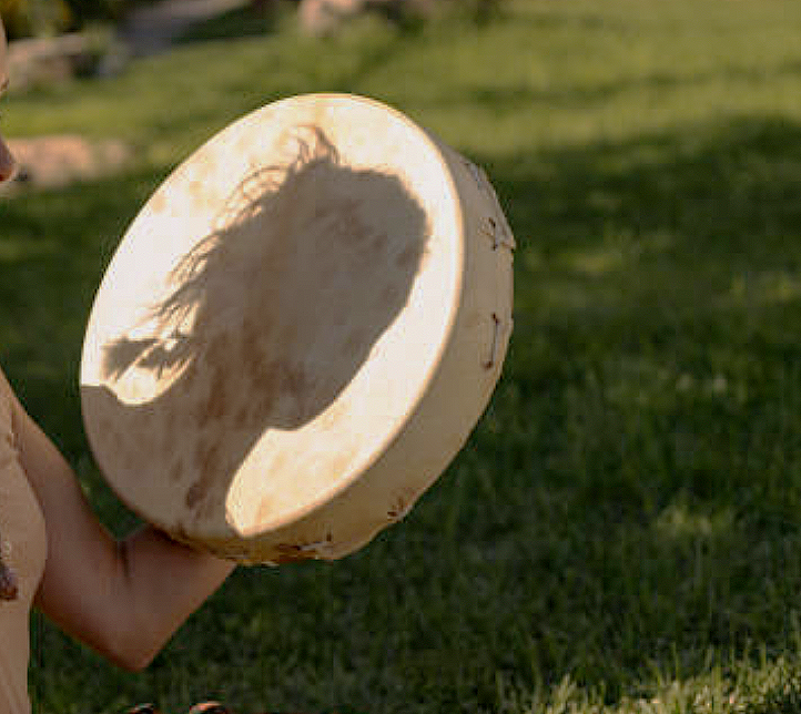 Shadow of a person's head and hair on the inside of a coconut shell being held outdoors on grass.