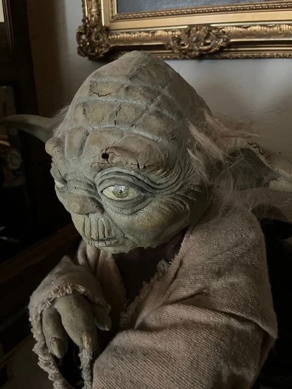 Star-Wars Yoda the Jedi Master