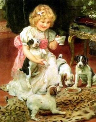 Cute girl feeding puppies