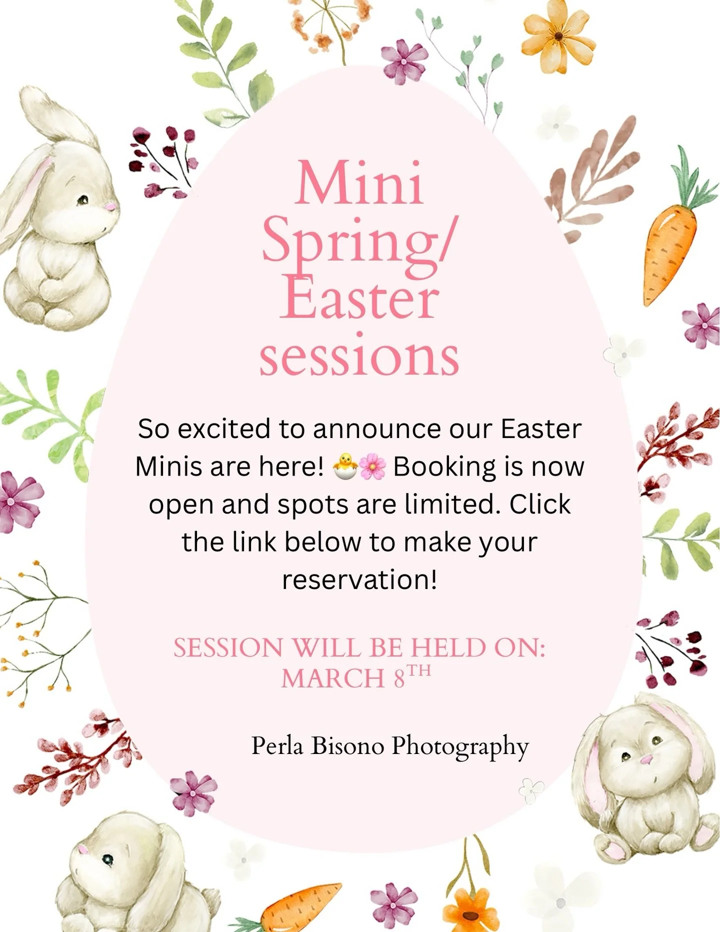 We&rsquo;re so excited to announce our Spring/ Easter Mini Sessions are officially open! 🌸🐰 Spots are limited and booking is now live. Click the link in our bio to reserve your spot before it&rsquo;s gone! ✨📸
