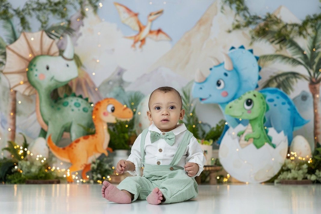 Evans is ONE! 🦖 🦕