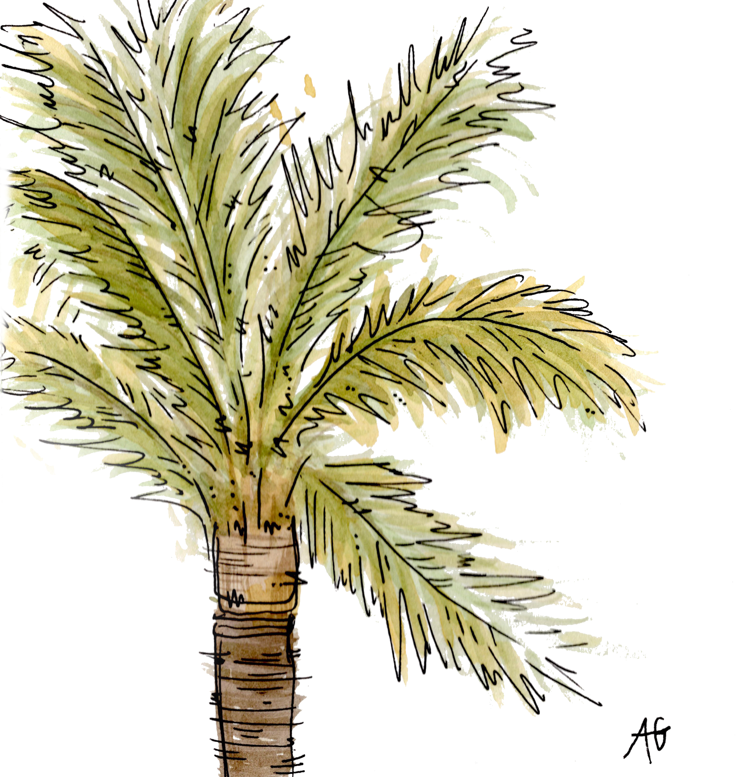 Palm Tree.png