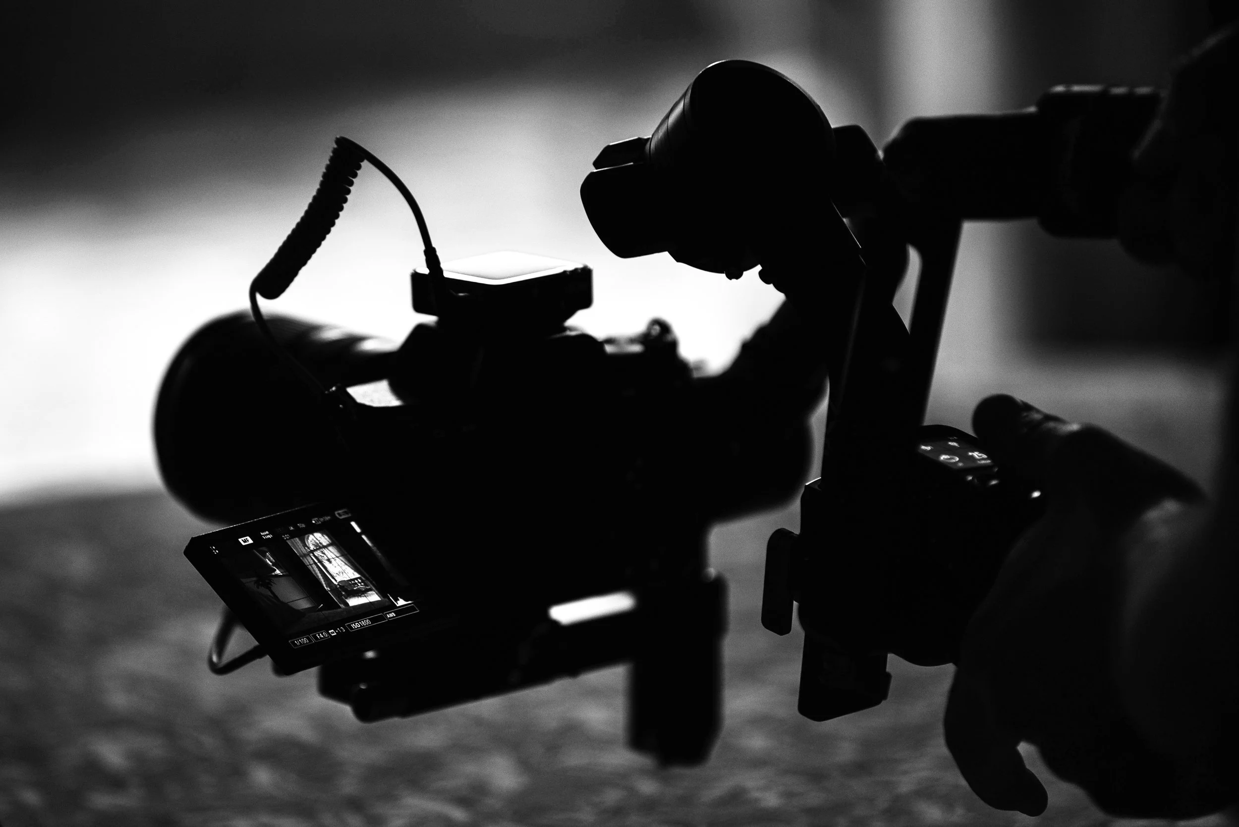 Silhouette of a person operating a camera on a tripod, with a viewfinder screen displaying an image, in black and white.