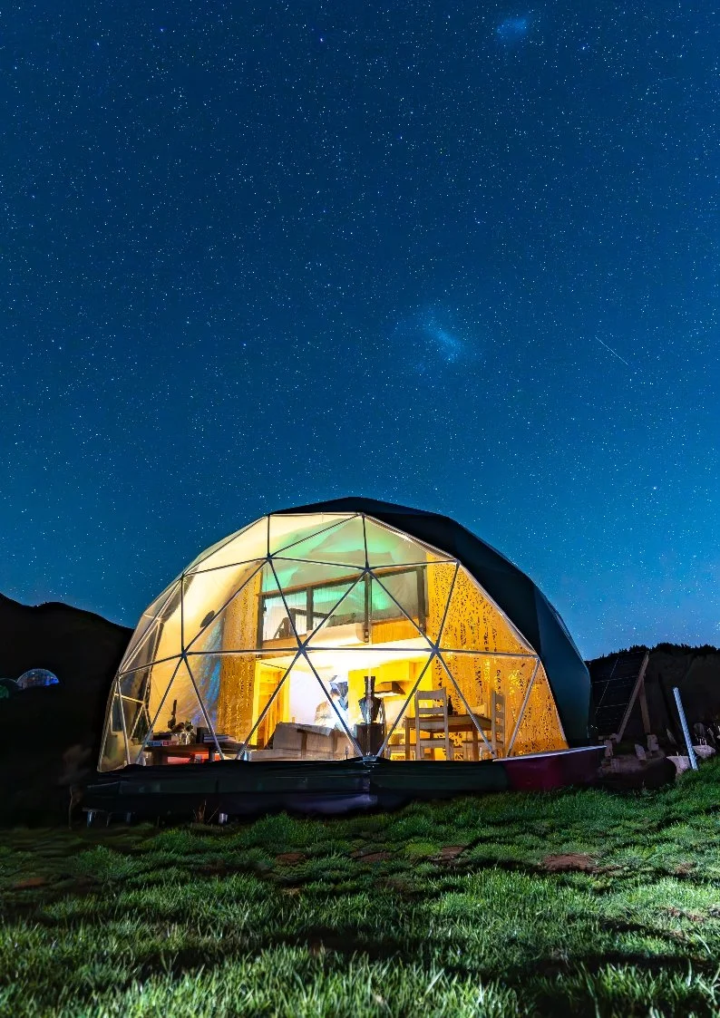 Starry Gallery POrtrait.jpg