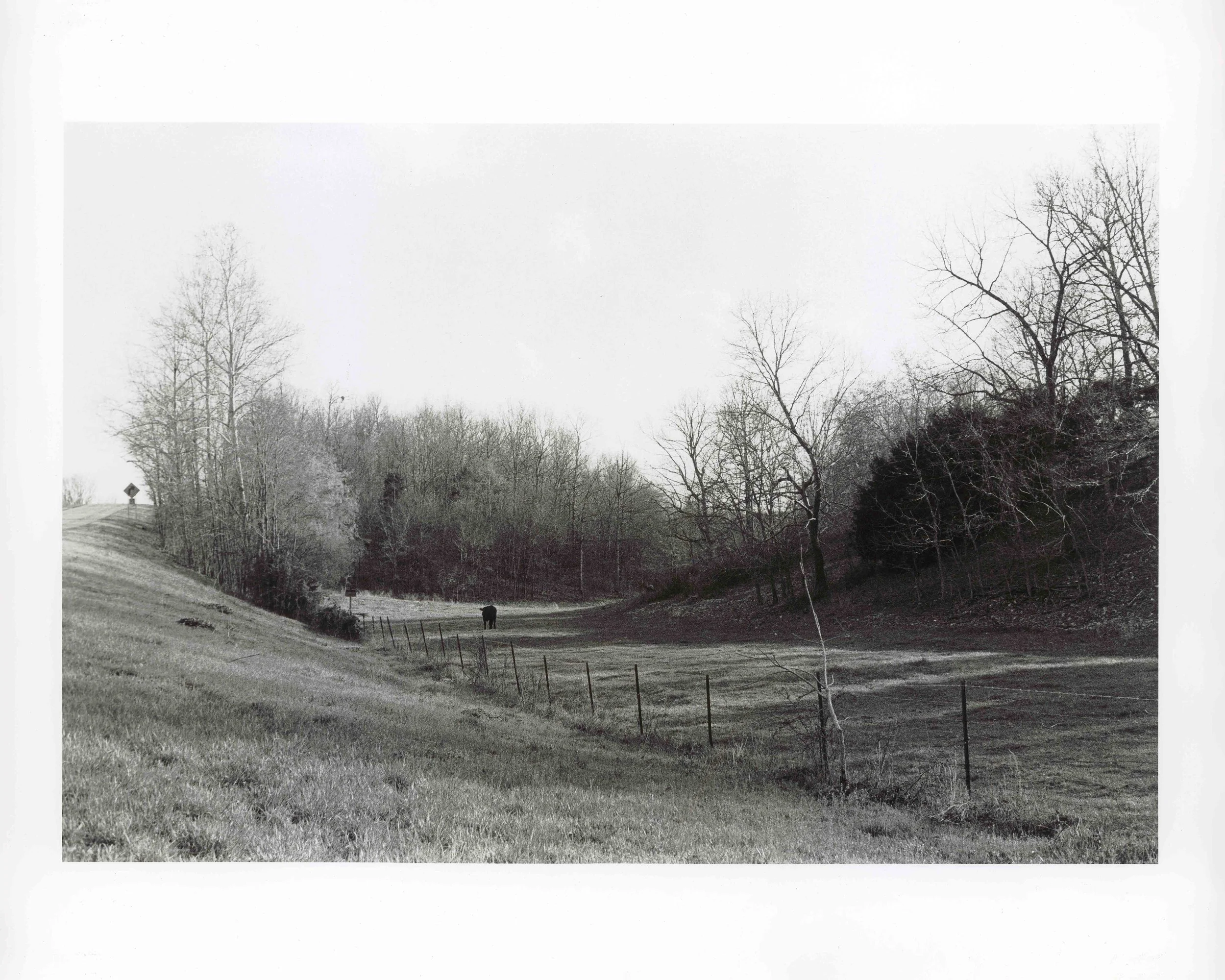 Senior Year Art Capstone Project