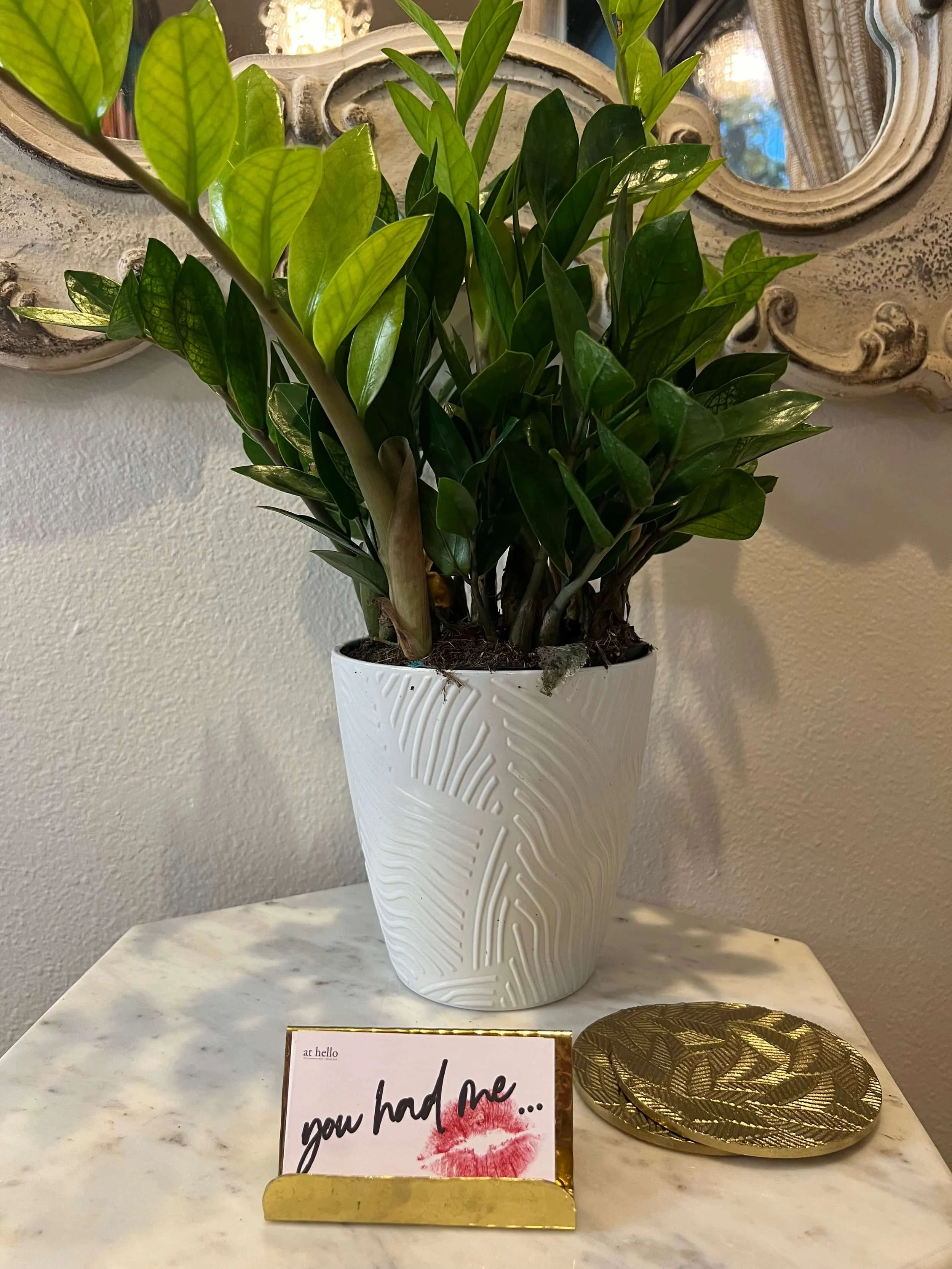 A potted green leafy plant on a marble table, with a gold decorative dish and a small card that reads 'you had me...' with a lipstick kiss mark beside it, against a wall with decorative mirrors.