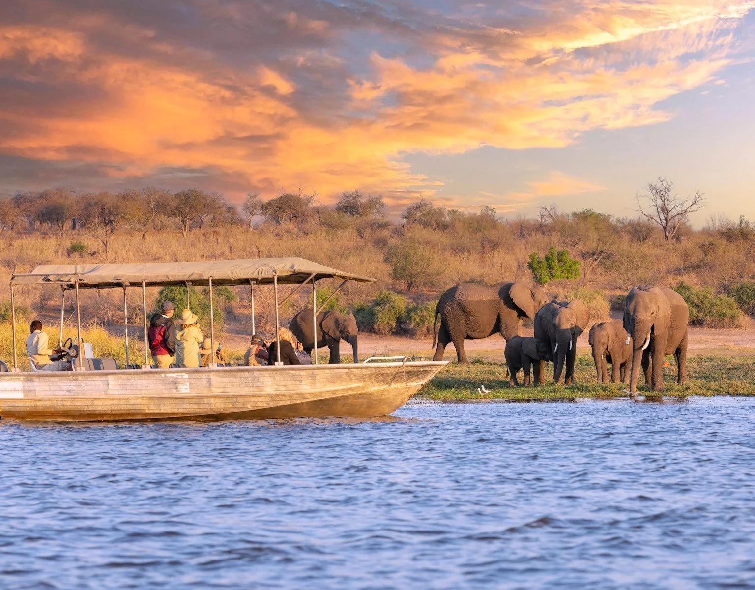 A boat with tourists observing elephants near a riverbank during sunset in Africa.