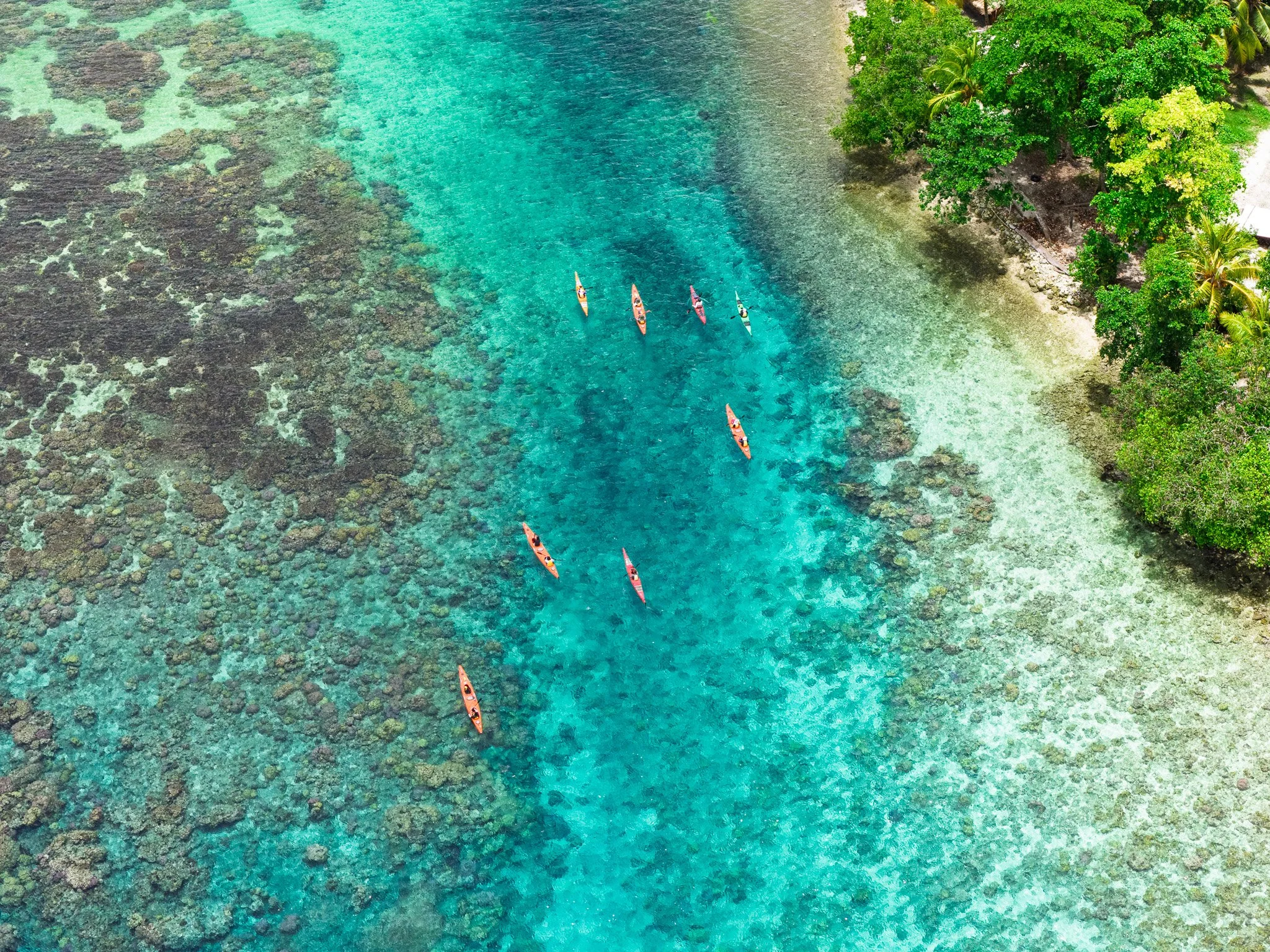 Mavic_29.jpg