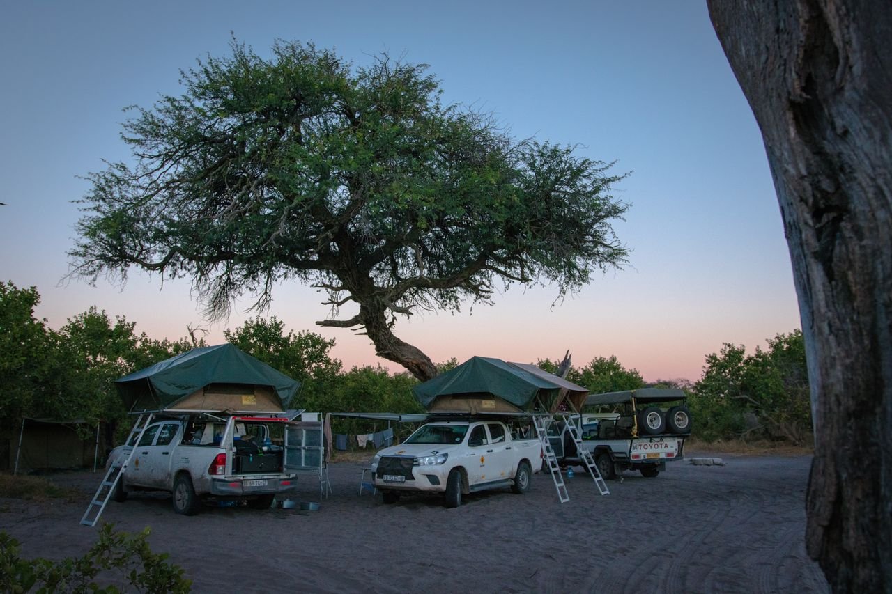 Camping setup with two vehicles, tents on rooftops, and a trailer under a tree during dusk.