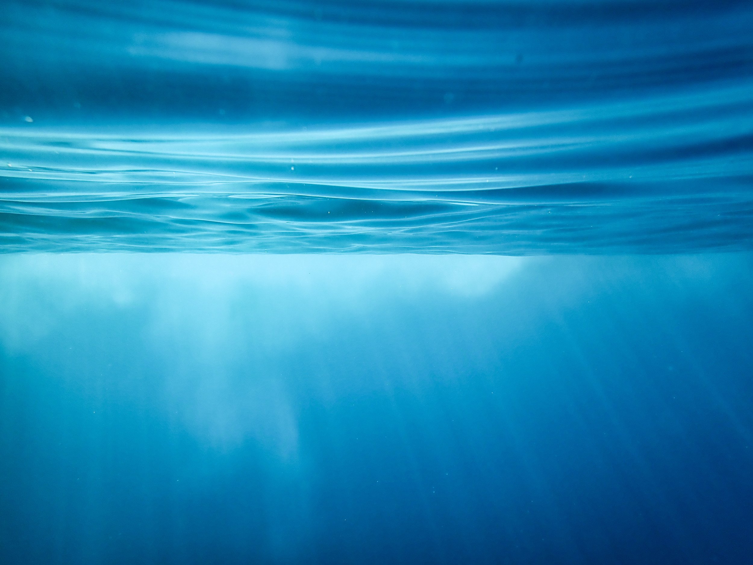 underwater.jpeg