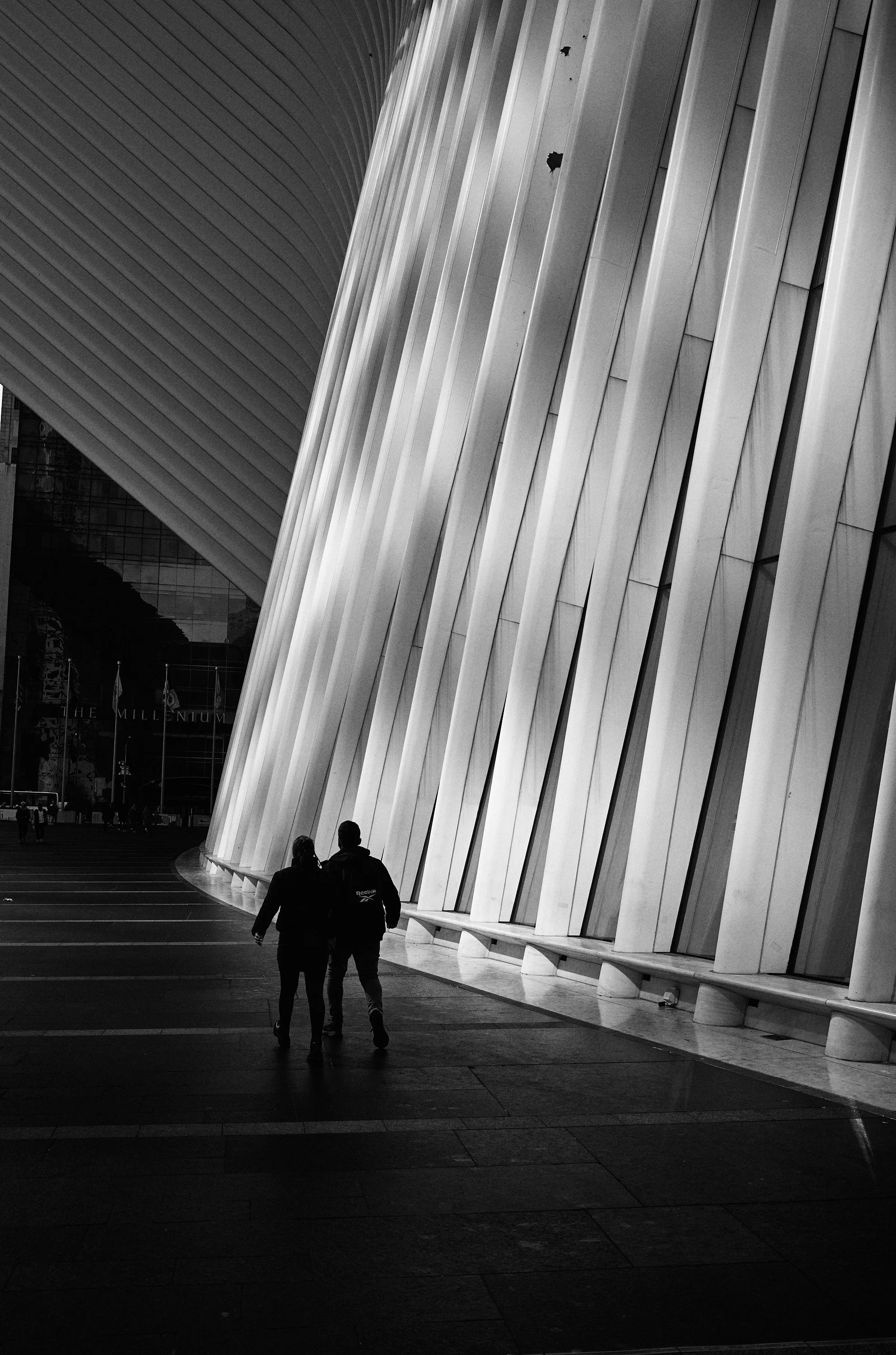 22-02-21_11-06_l1001780-1.jpg