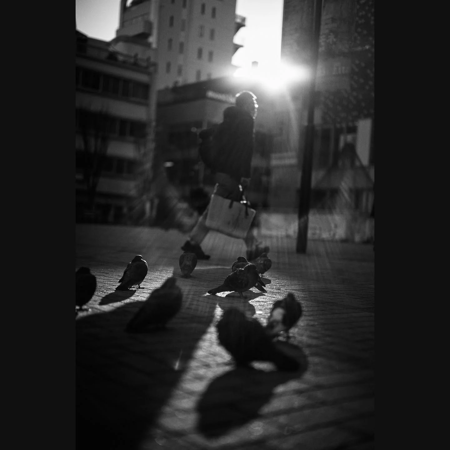 I get bored of &quot;perfect&quot; lenses and then spend a lot of time trying to undo all the hard work of lens designers.
Copyright Sean Hardie 2025
All photo, no AI.