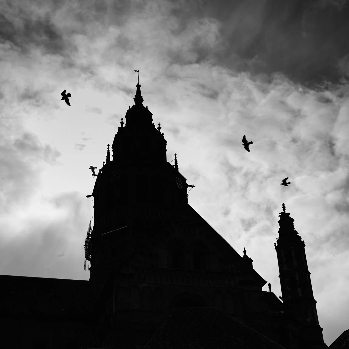 As above, so below.
Copyright Sean Hardie 2025.
All photo, no AI.
.
.
.
.
.
.
.
.
.
.
.
#leica
#leicaakademieusa
#lfimagazine
#lfigallery
#germanytourism 
#burnmagazine
#monochromatic
#m11monochrom
#dream
#bnw_splendid
#capturabnw
#vague_memories
#fo