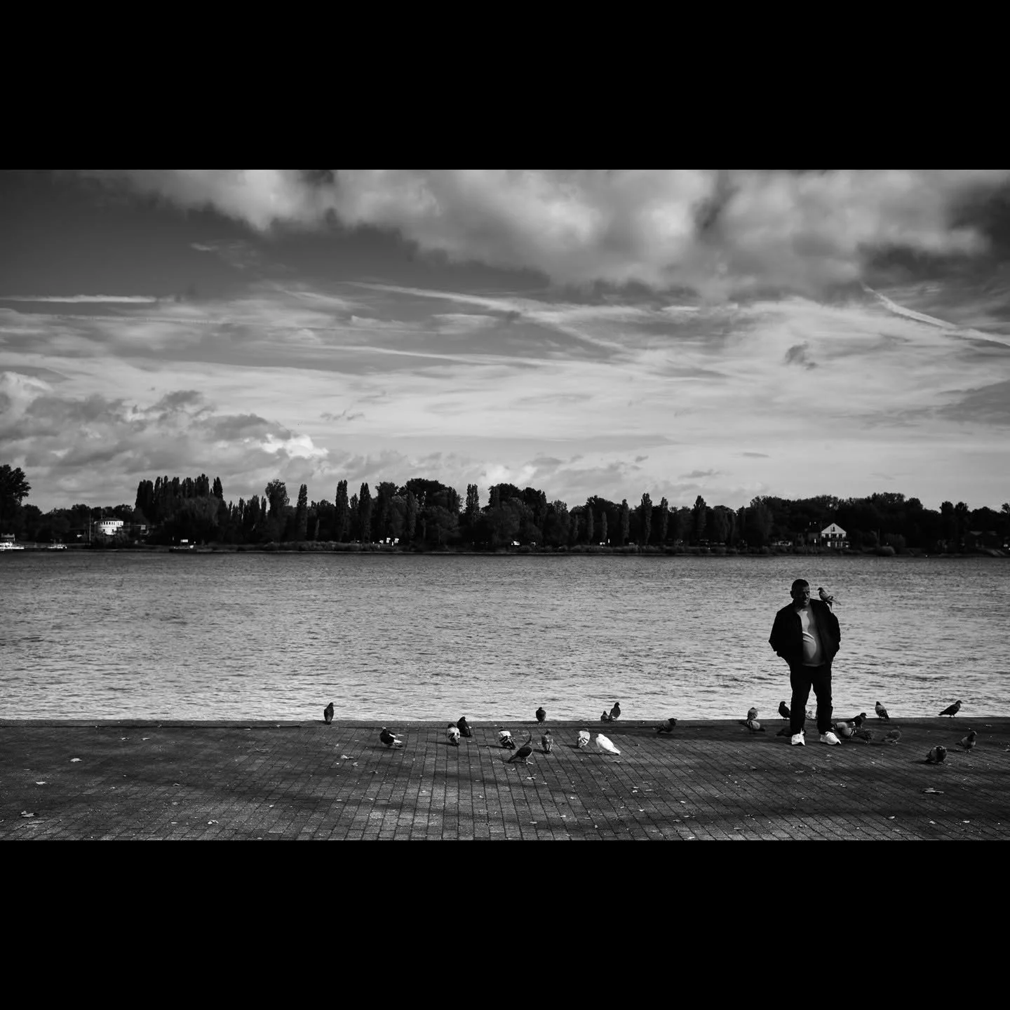 Urban pirate.
Copyright Sean Hardie 2025.
All photo, no AI.
.
.
.
.
.
.
.
.
.
.
.
#leicacamera 
#leicaphotography 
#leicaakademieusa 
#lfimagazine 
#monochromephotography 
#deutschlandistsch&ouml;n 
#germanytourism 
#m11monochrom 
#bnwphotography 
#m