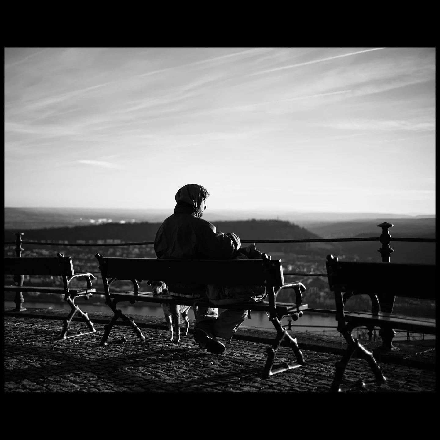 Man and Dog.
Copyright Sean Hardie 2025
All photo, no AI
.
.
.
.
.
.
.
.
.
.
.
#r&uuml;desheimamrhein 
#summilux35asph 
#leicaakademieusa 
#monochromaticphotography 
#leicam11monochrom 
#seanhardiephotography 
#mananddog 
#mananddogbond