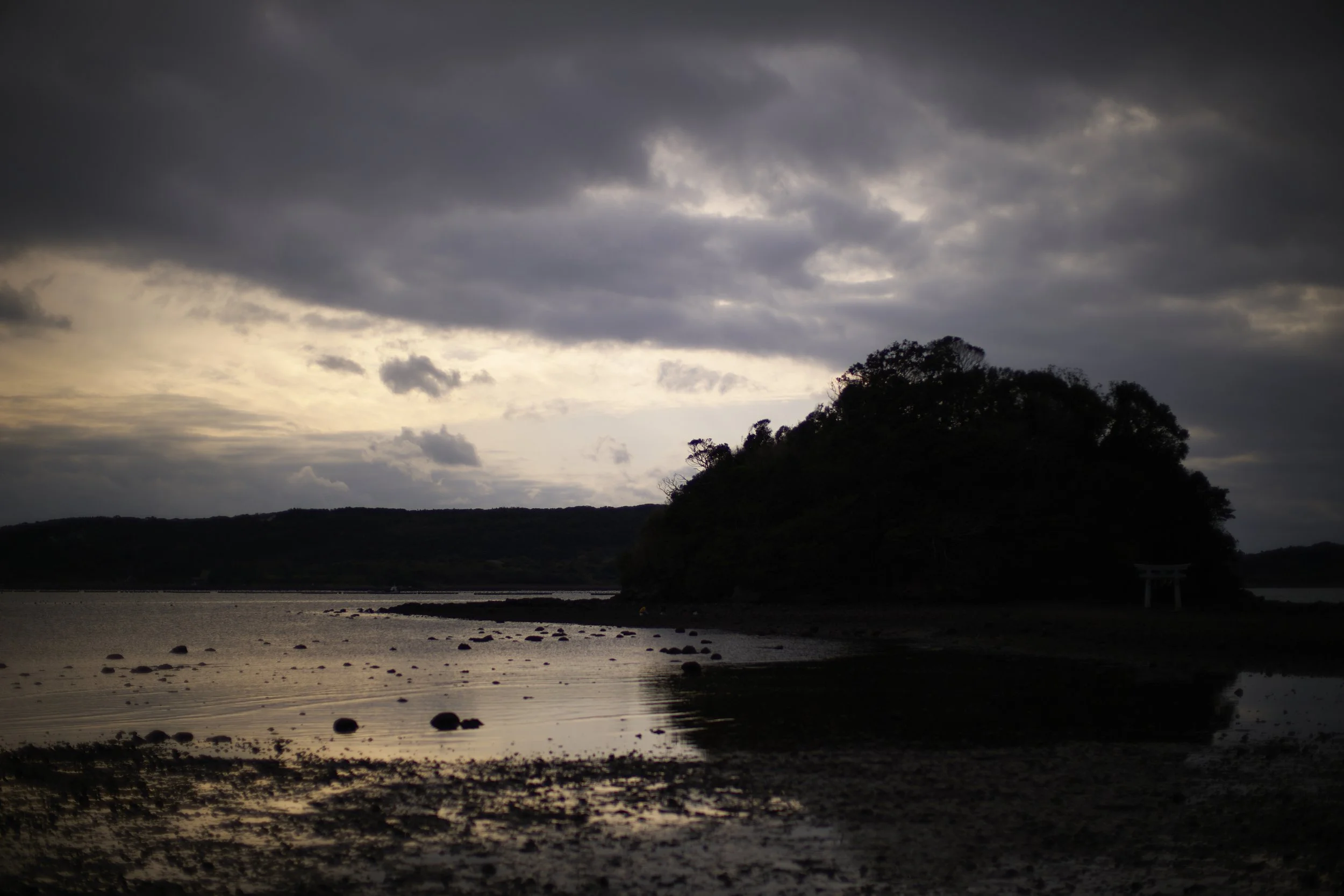 S1000257.jpg