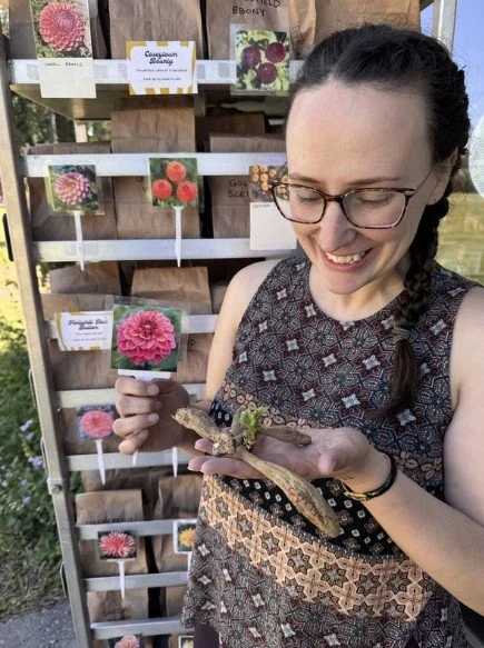 Dahlia Bulb Sale