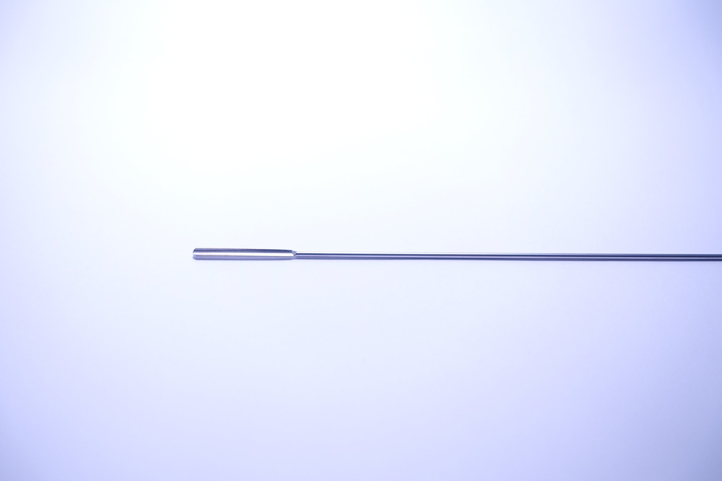 DSC08444.JPG