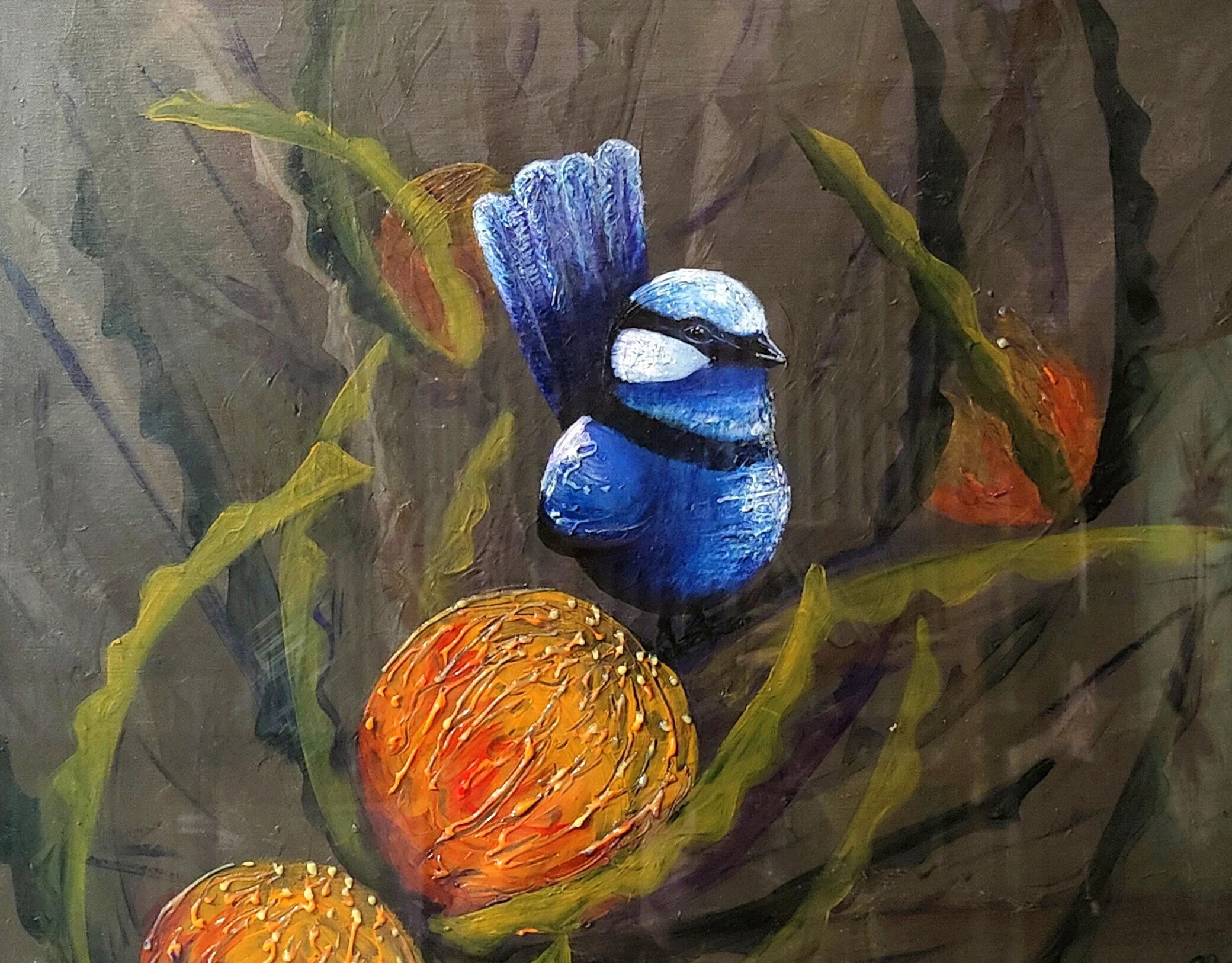 Fat Blue Wren