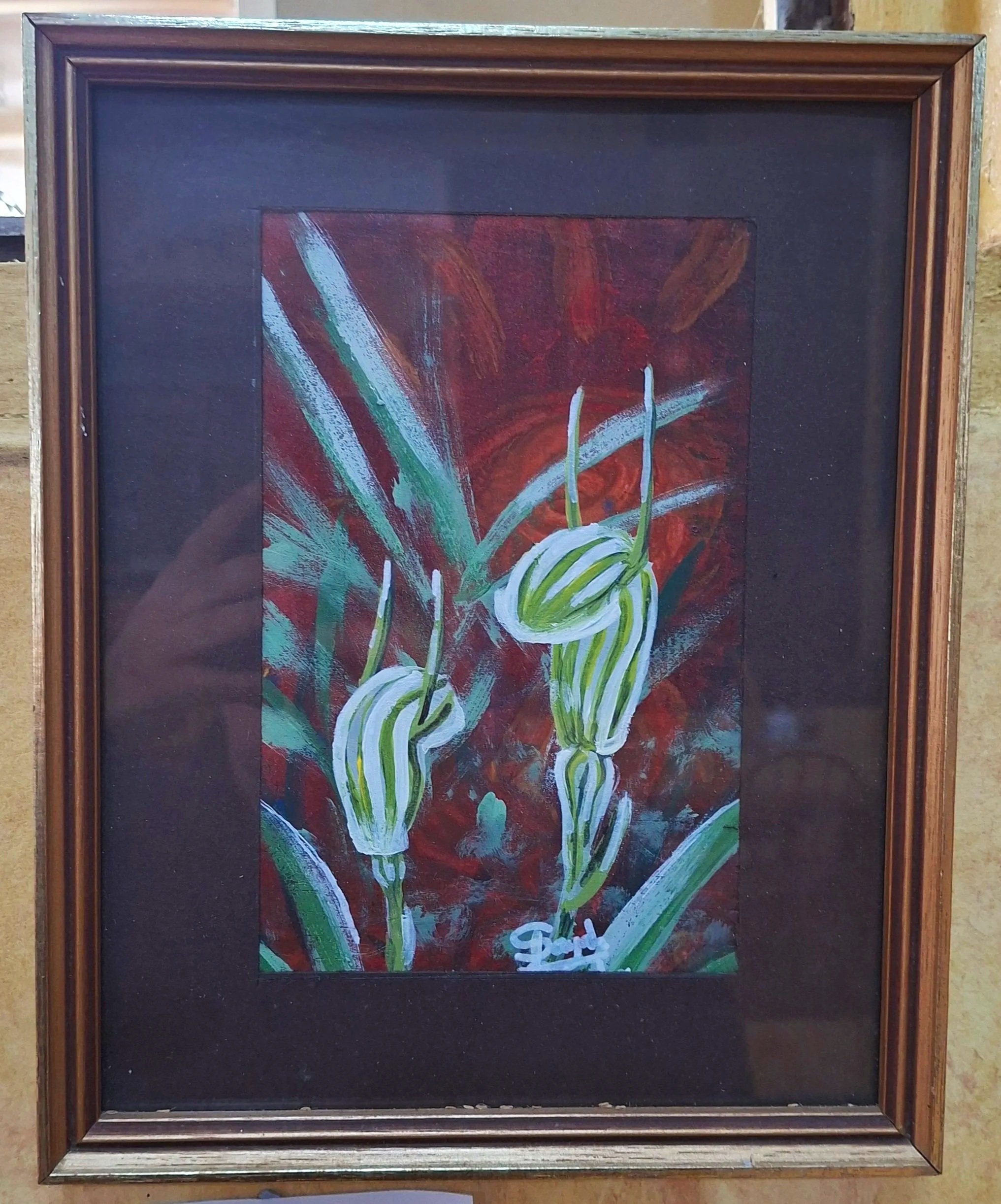 Painting of snail orchids with a leaf litter background.