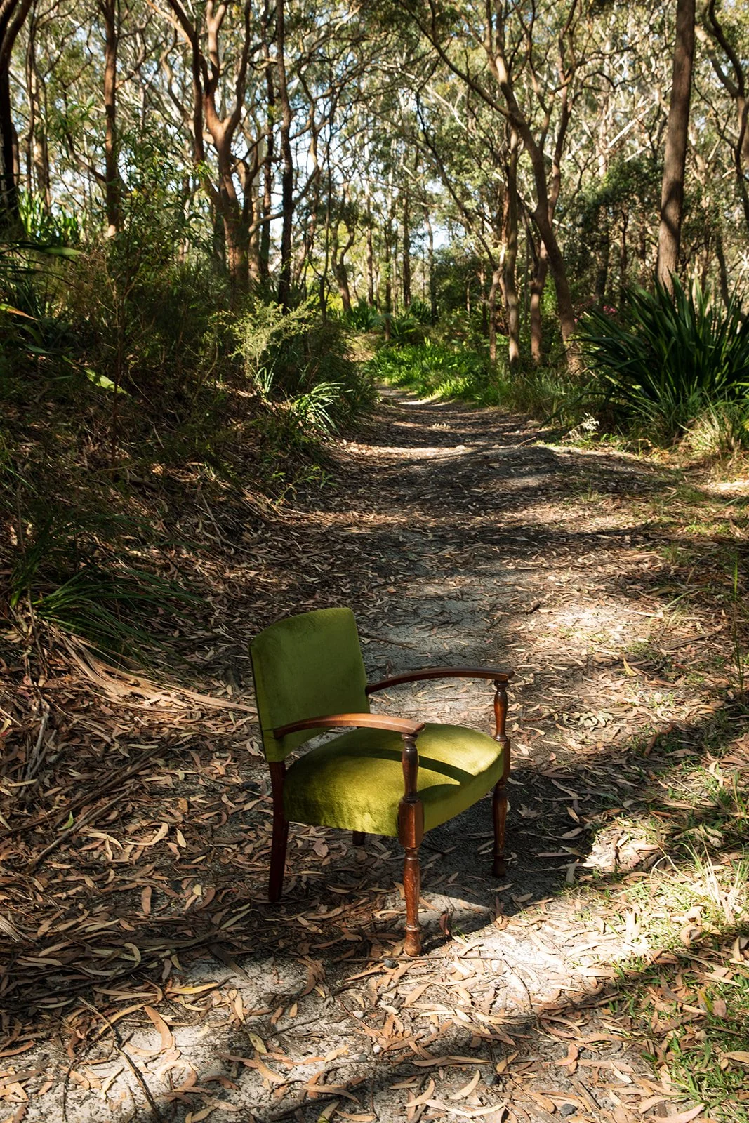 How Much Does an Interior Designer or Decorator Cost in NSW?