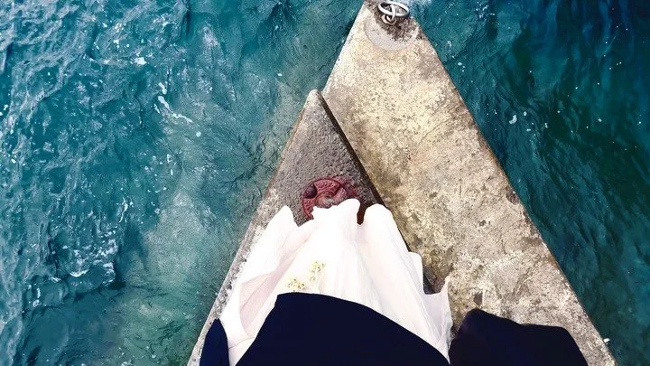 nothing quite like a cat nap on a gloomy day by the sea 

&bull;

#stormy