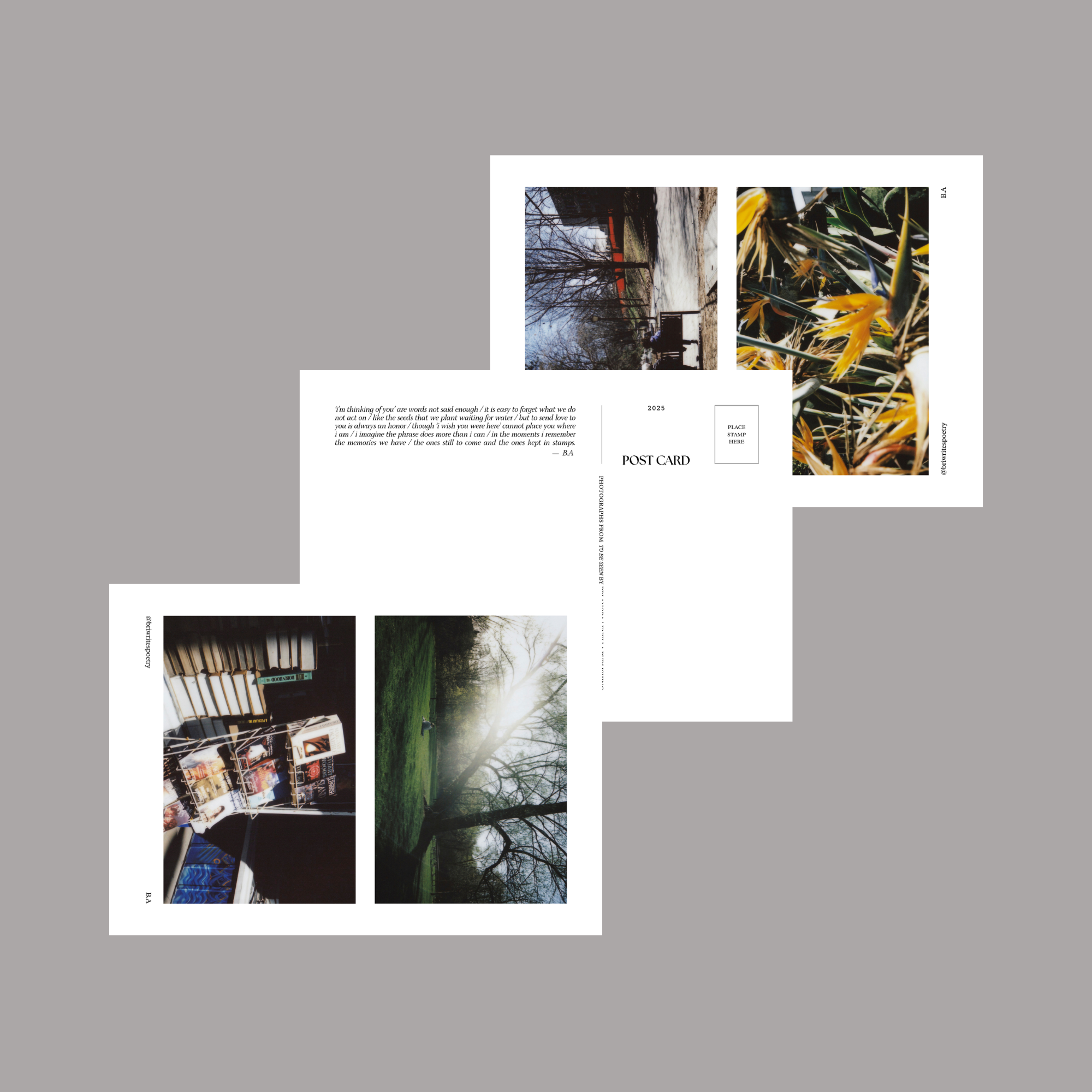 Untitled design (27).png