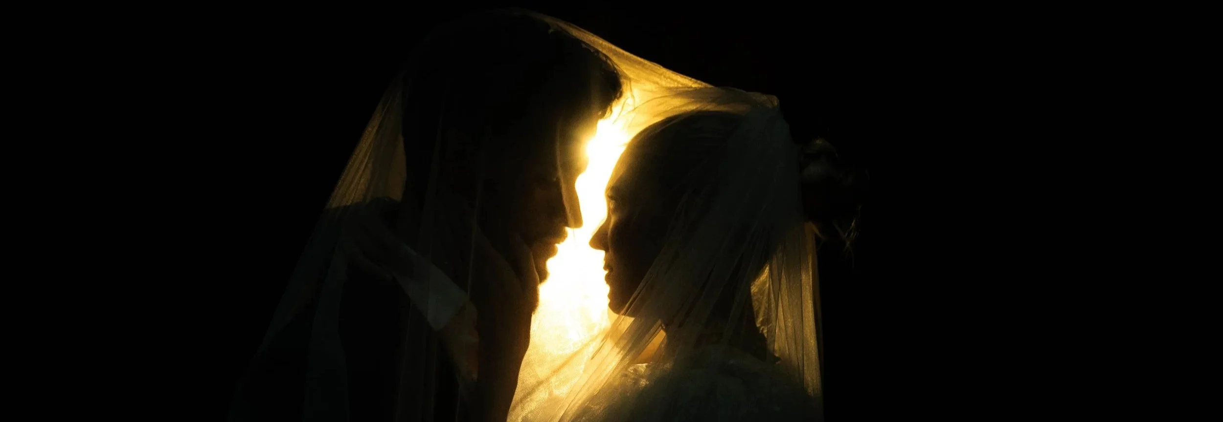 Cinematic wedding portrait of a couple under a glowing veil silhouette during their Northern California elopement.