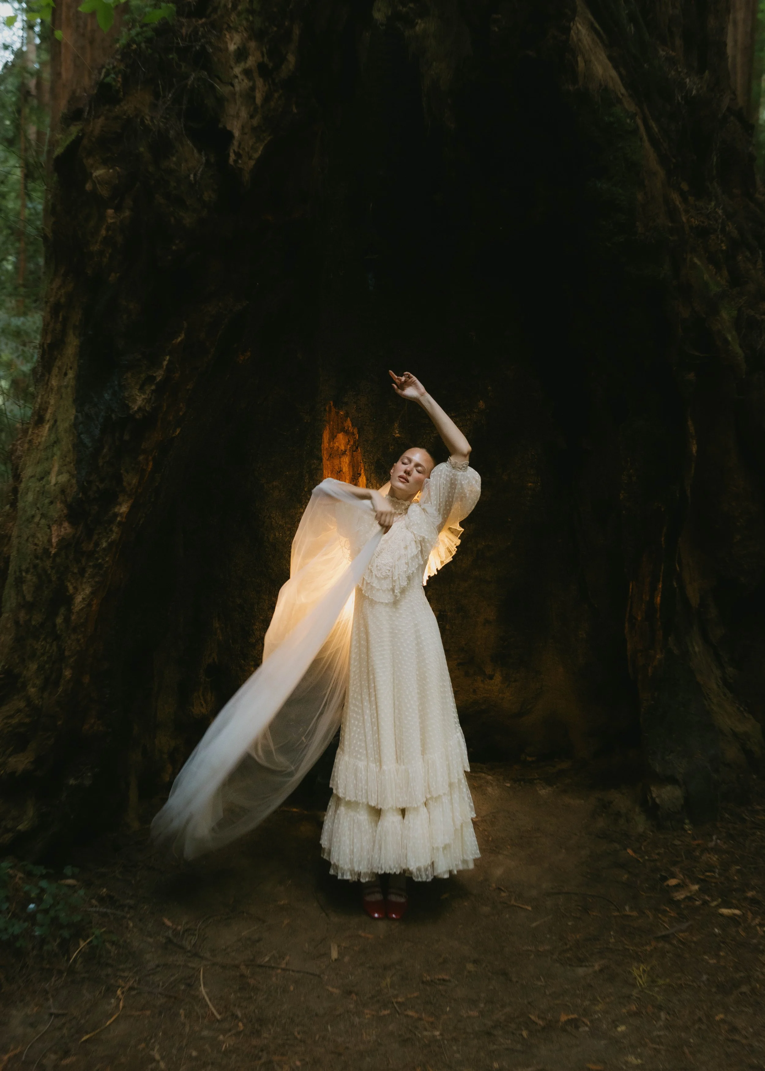 Bride standing in the redwoods with dramatic light behind her during a Northern California elopement.