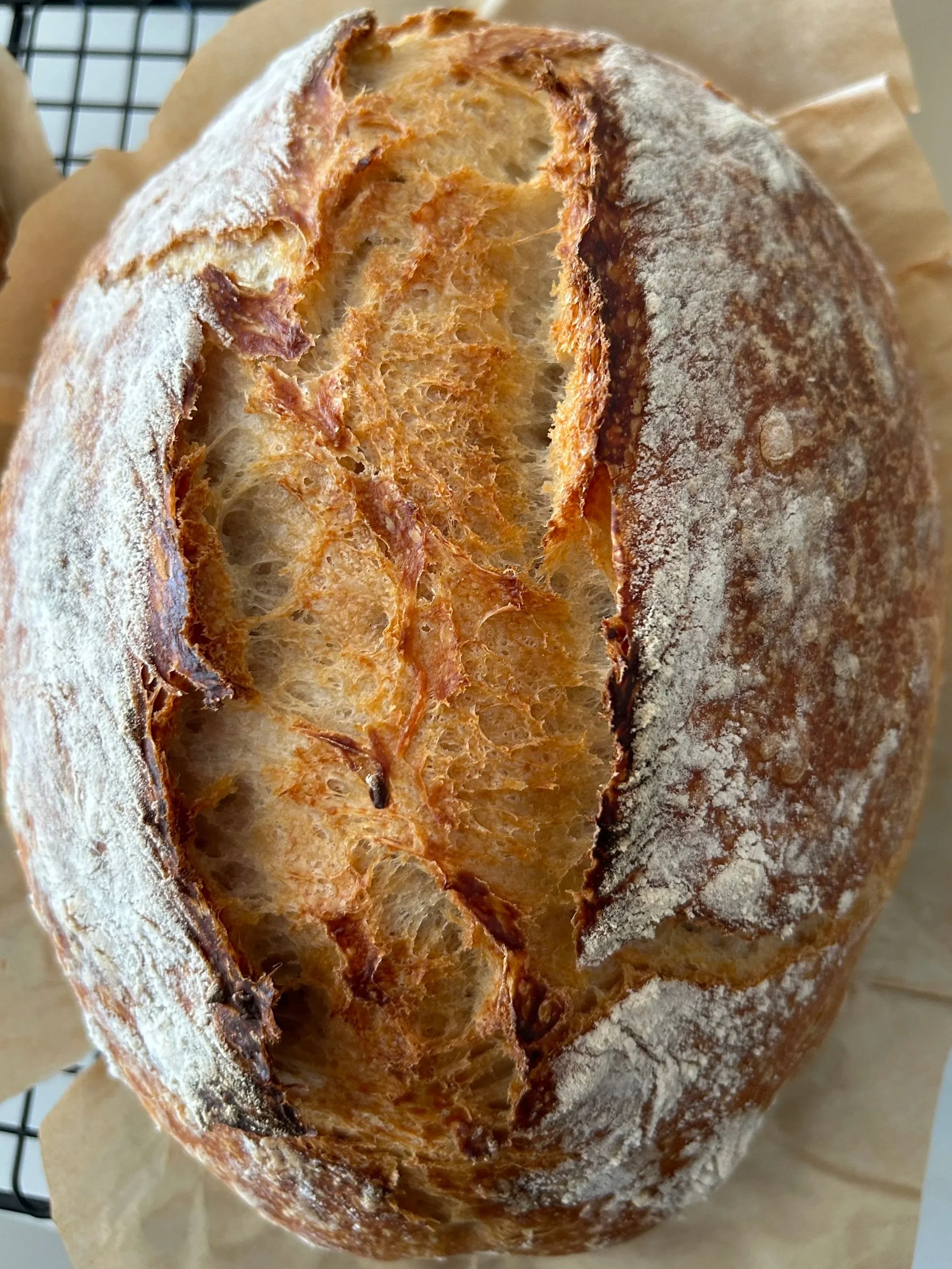 Sourdough+Baked.jpg