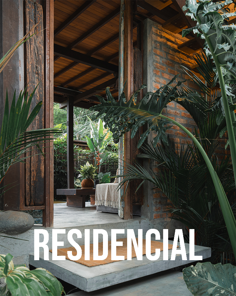 Fotografía de arquitectura residencial. Puerta de acceso rodeada de vegetación