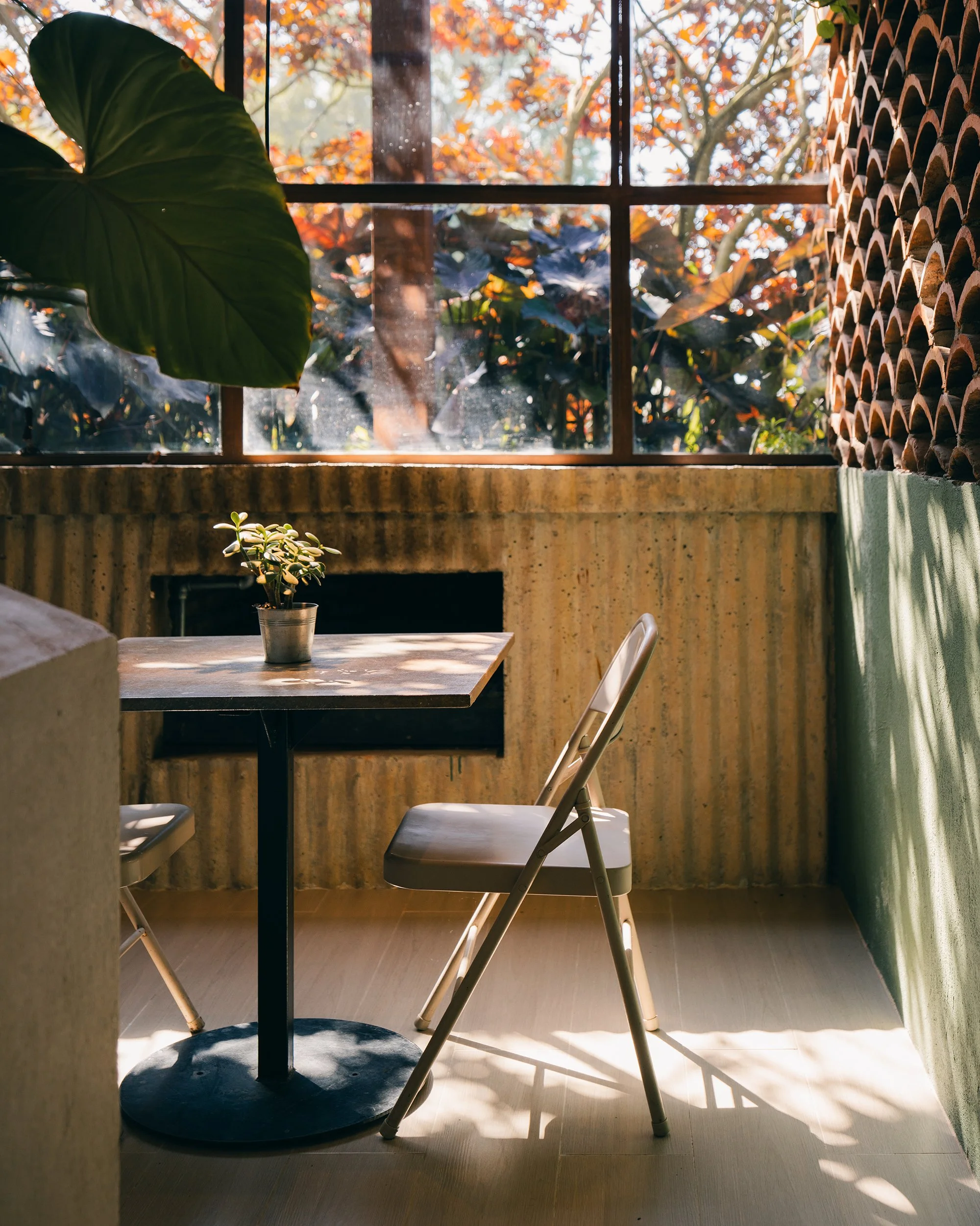 casa-elvira-comedor-ventana-luz.jpg
