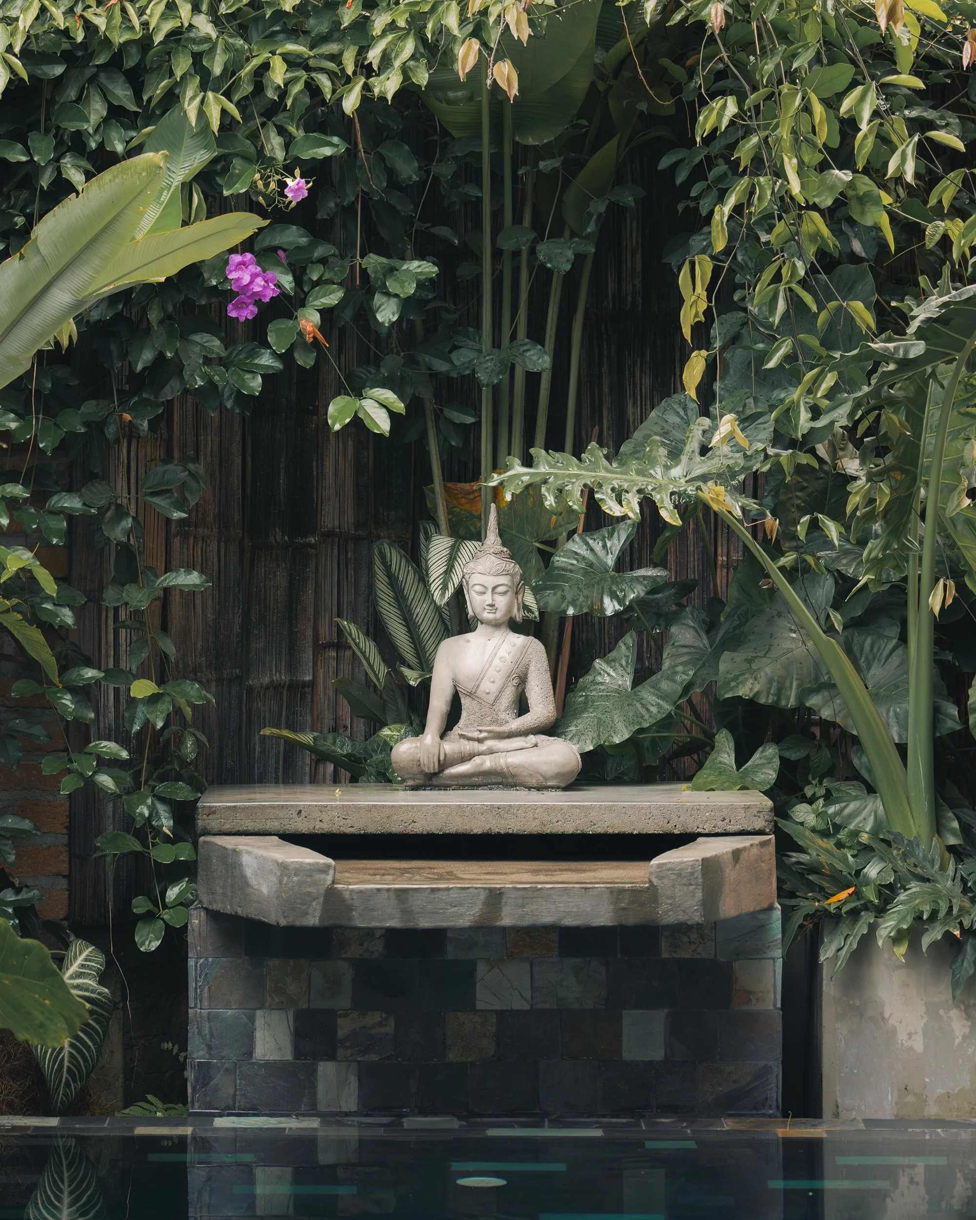 casa-vivero-buda.jpg