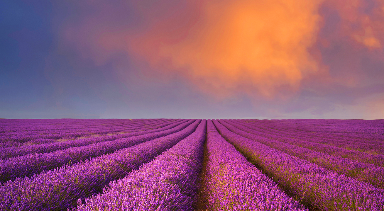 Exile & Return | 32 Day