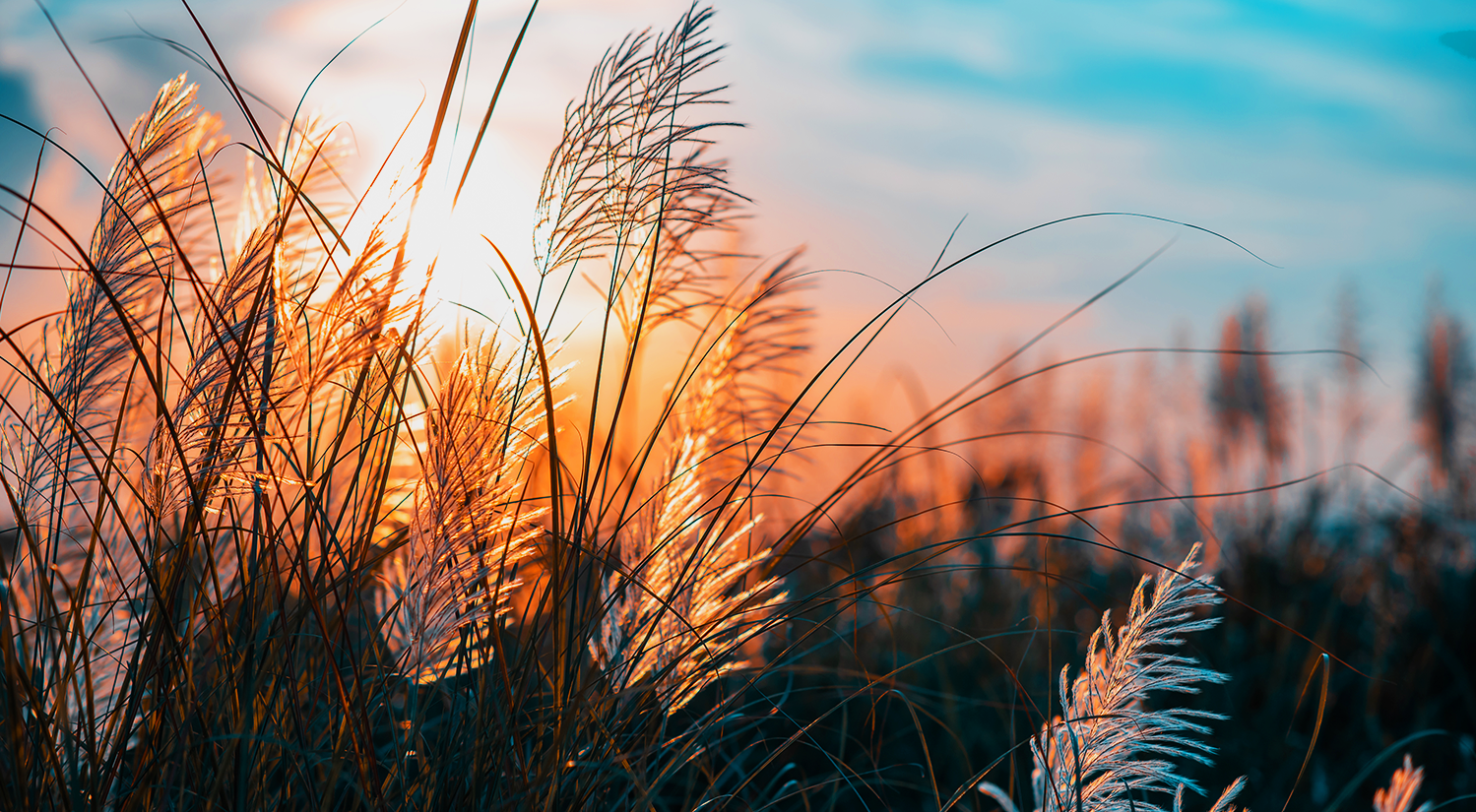 Old Testament | 277 Day